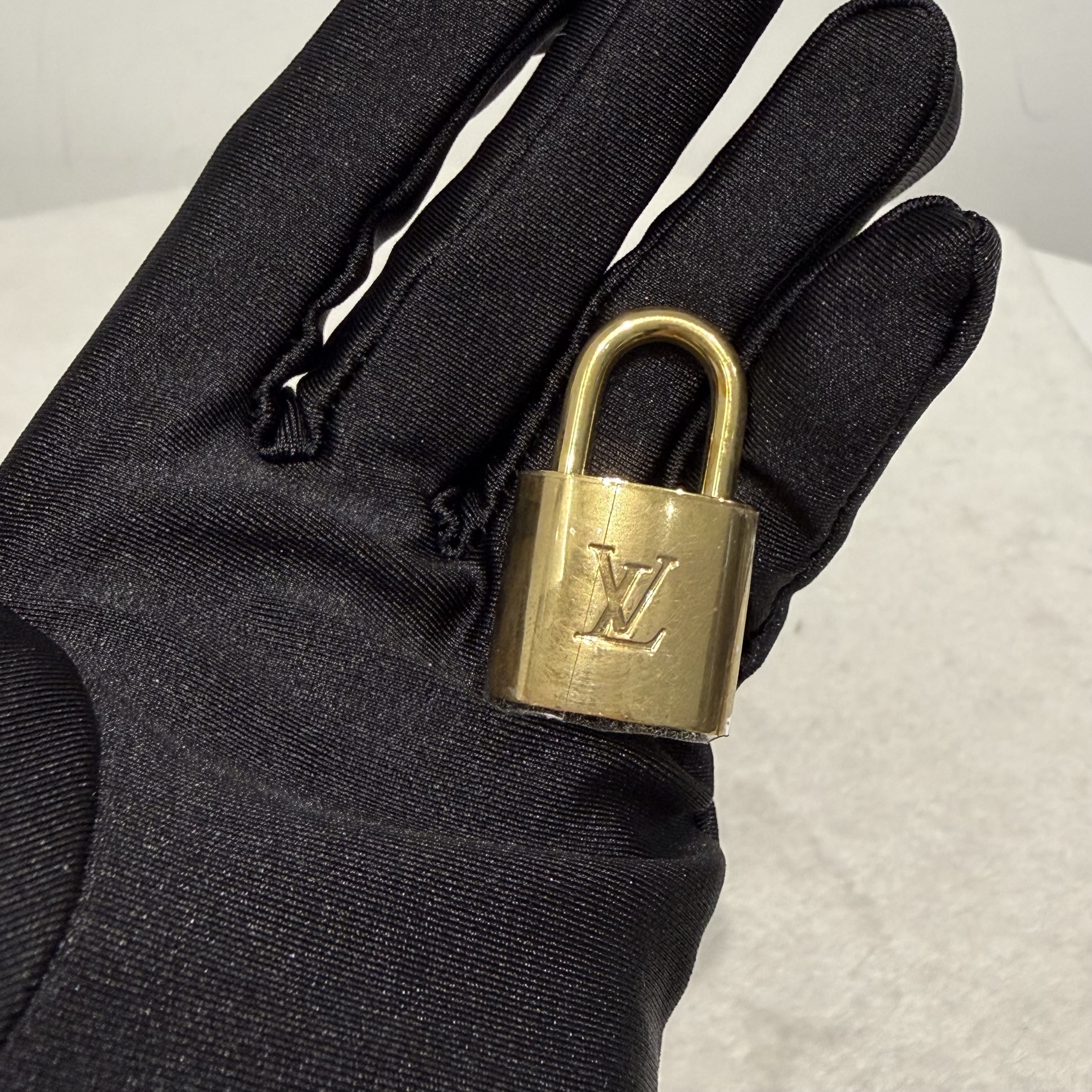 image_119AAAEC-BA36-479A-8605-C92F9B06CFAB_1768298199