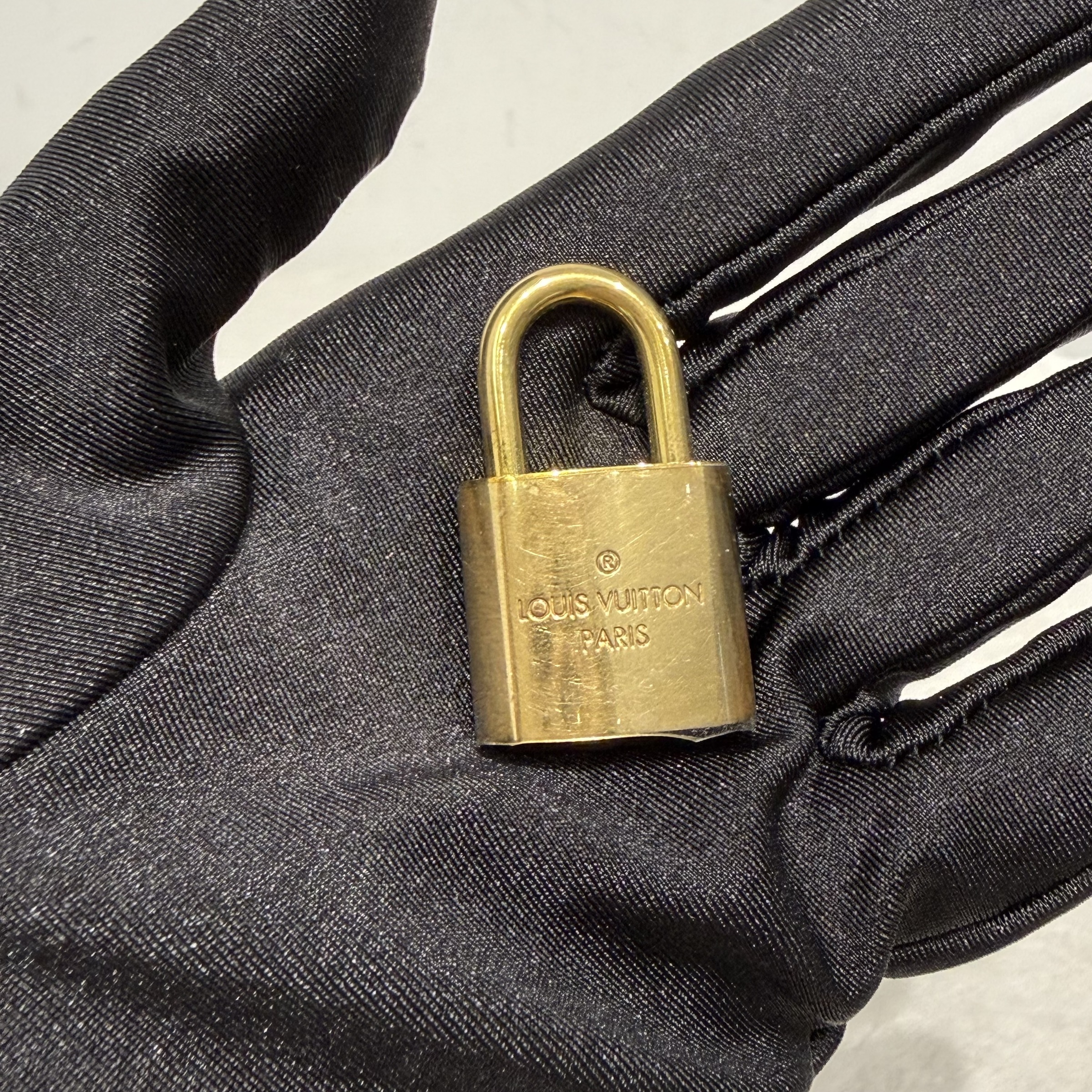 image_246CBA59-8611-4221-BB4D-C5CF31BBE13E_1768298199