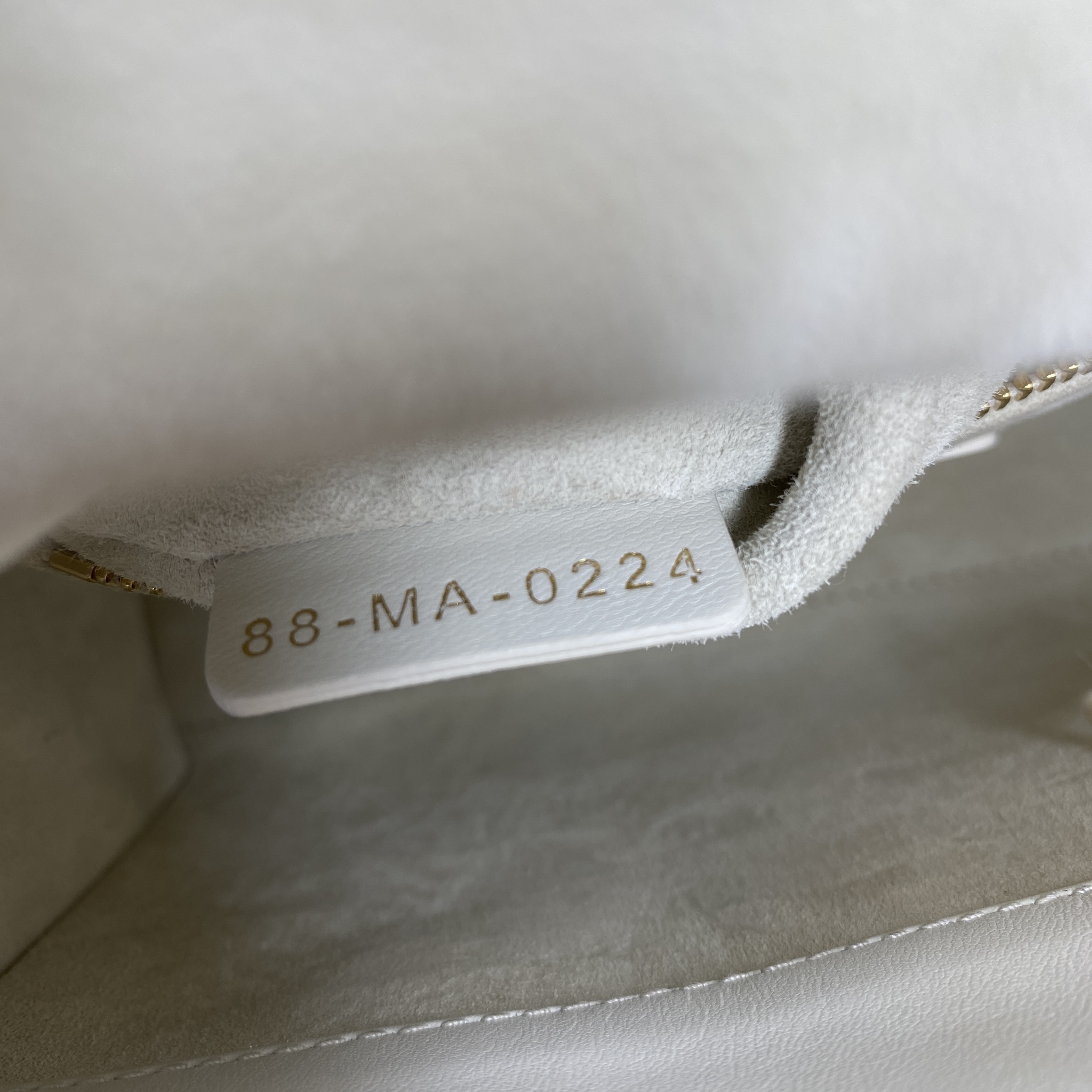 IMG_2921-1768365560358