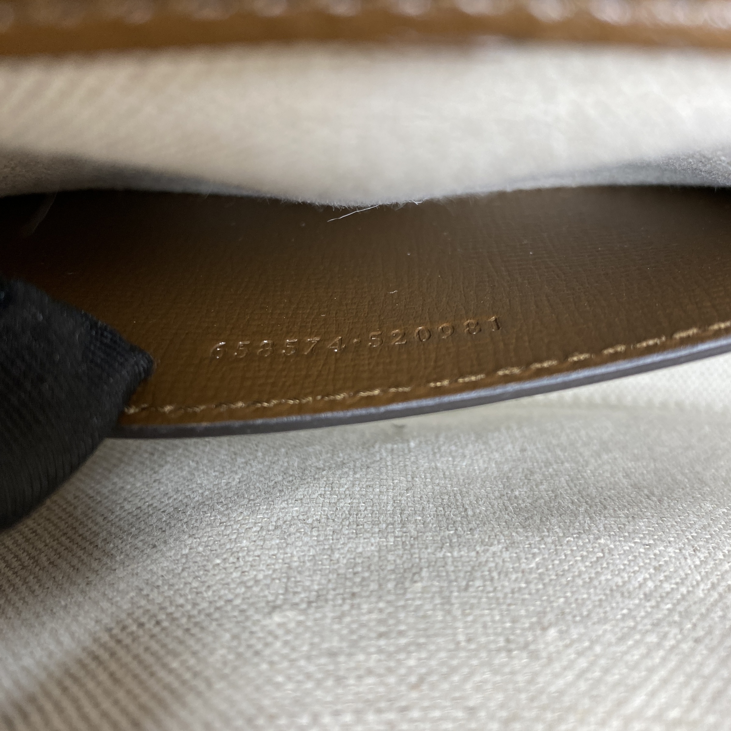 IMG_3232-1768383412214