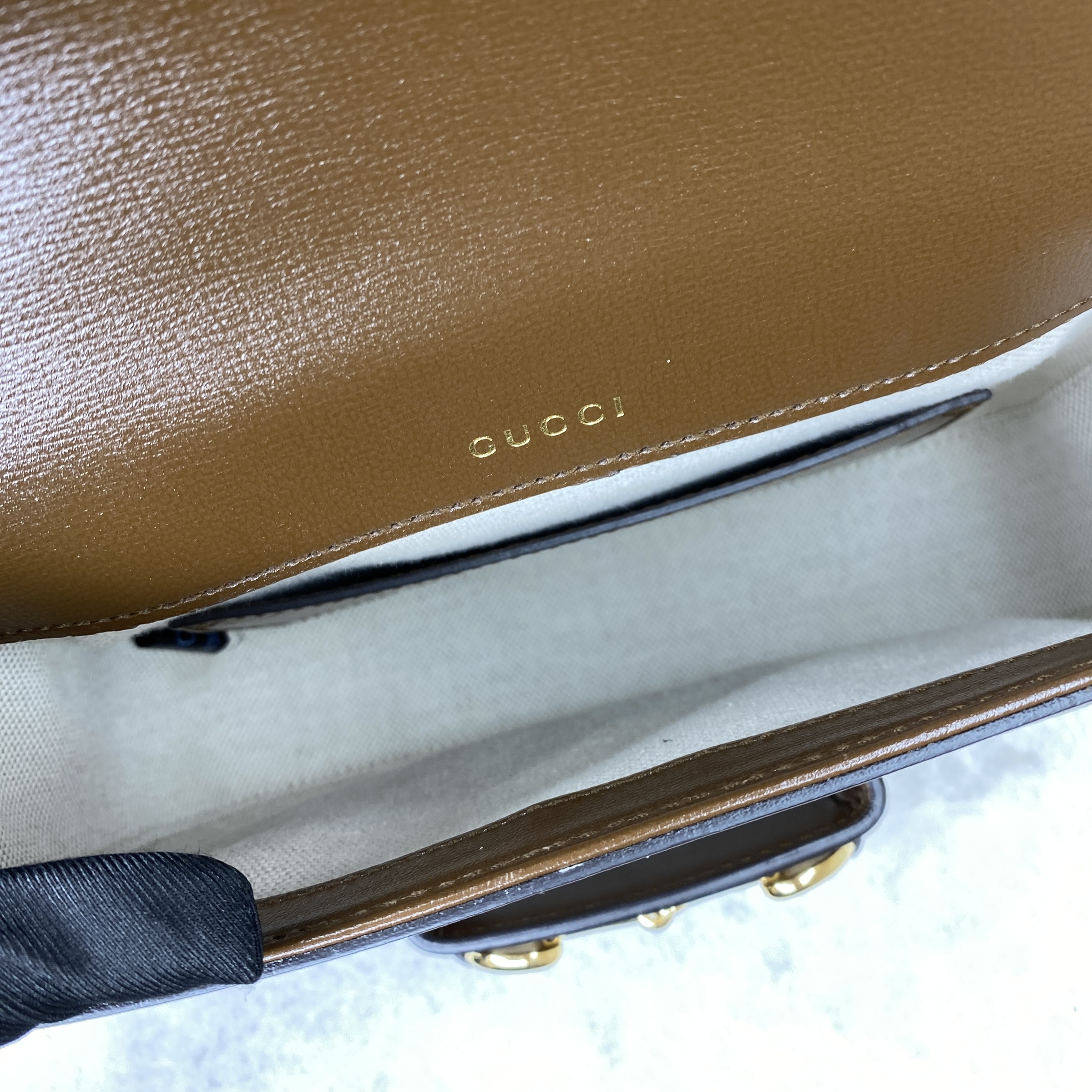 IMG_3231-1768383412246