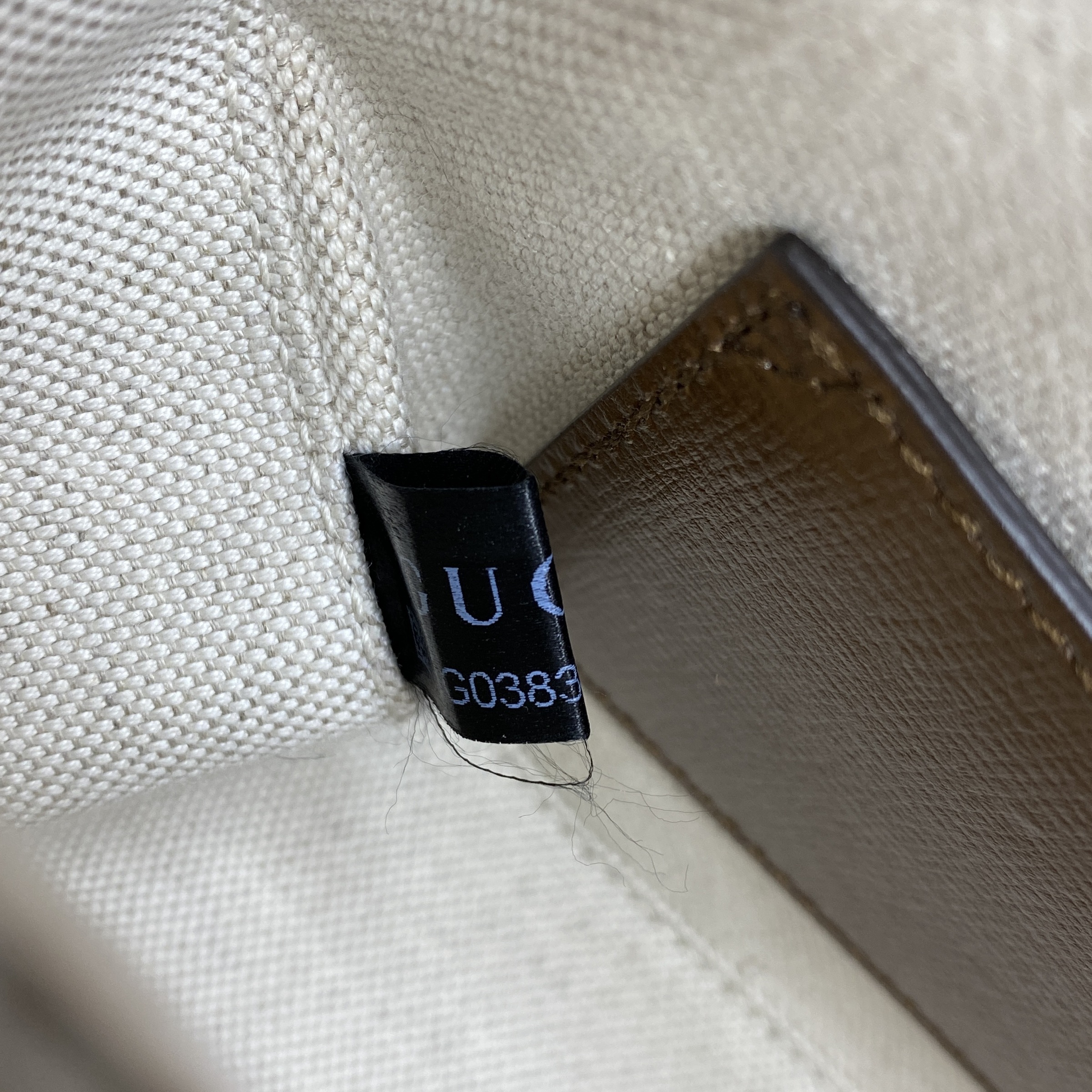 IMG_3233-1768383412268