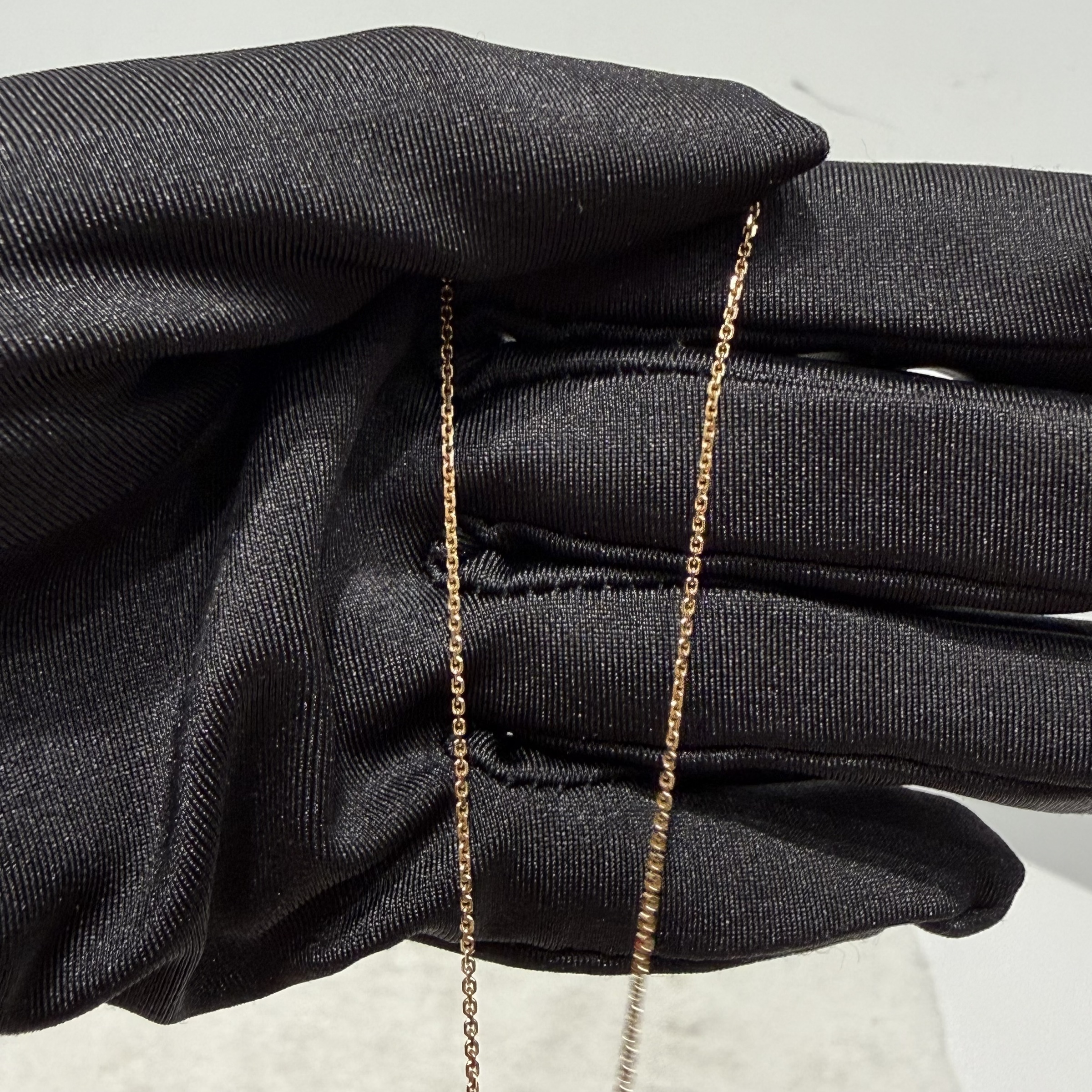 image_49F9A886-A352-444F-8CC6-D11778739F3C_1768383478