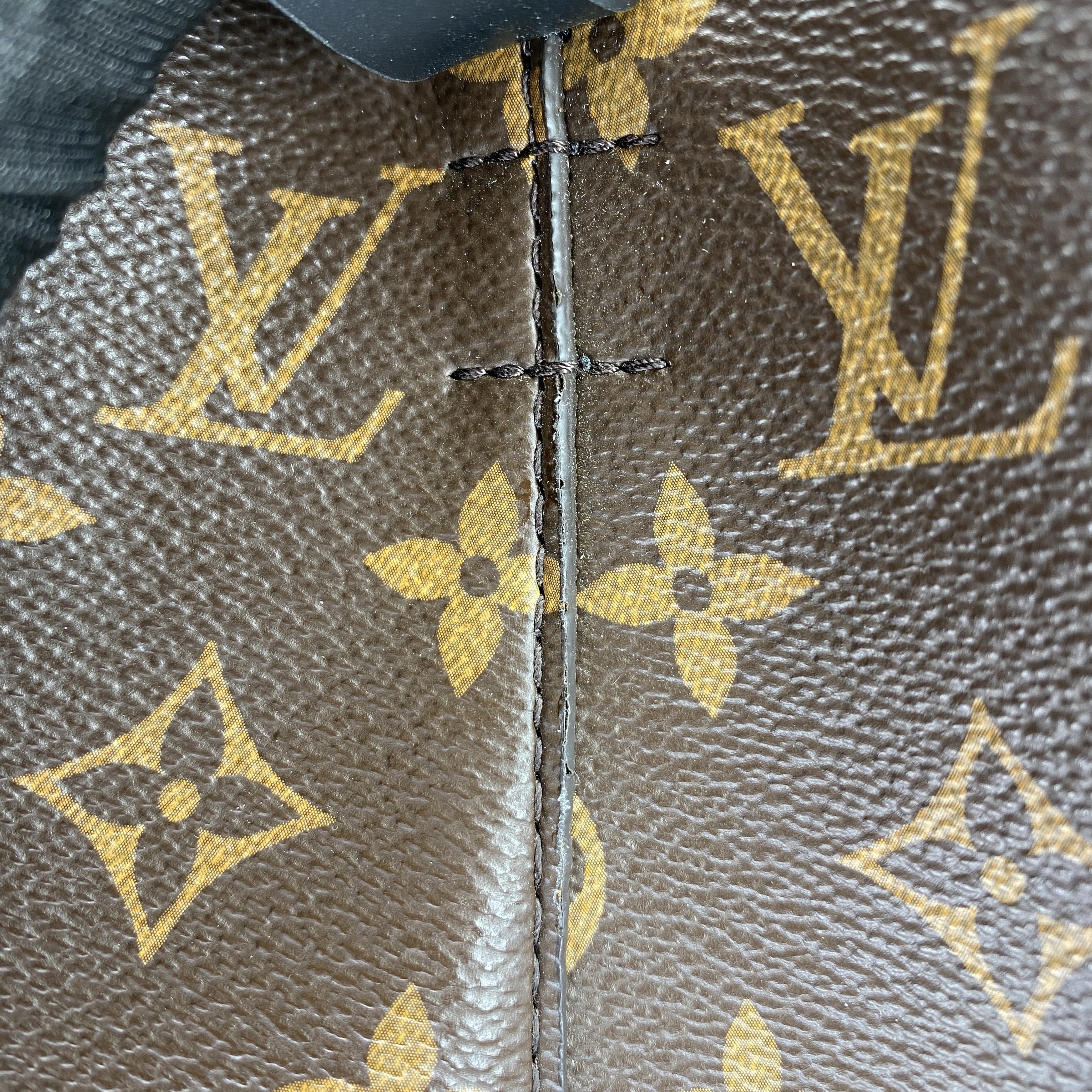 IMG_3253-1768386333364