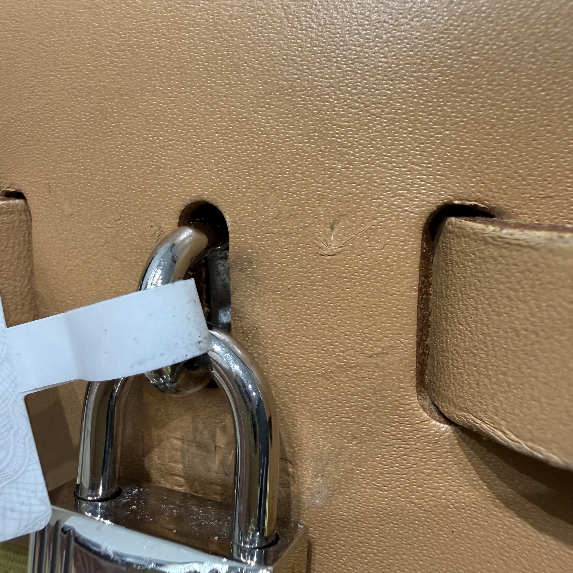 image_C00EBF71-1B47-46C0-83AA-6831FCDE1B57_1768439741