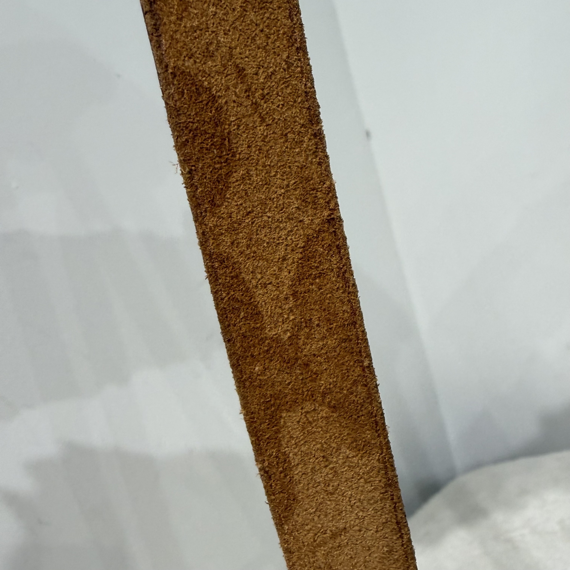 image_760D855B-7424-4EFE-A265-21BDF587A74B_1768439741