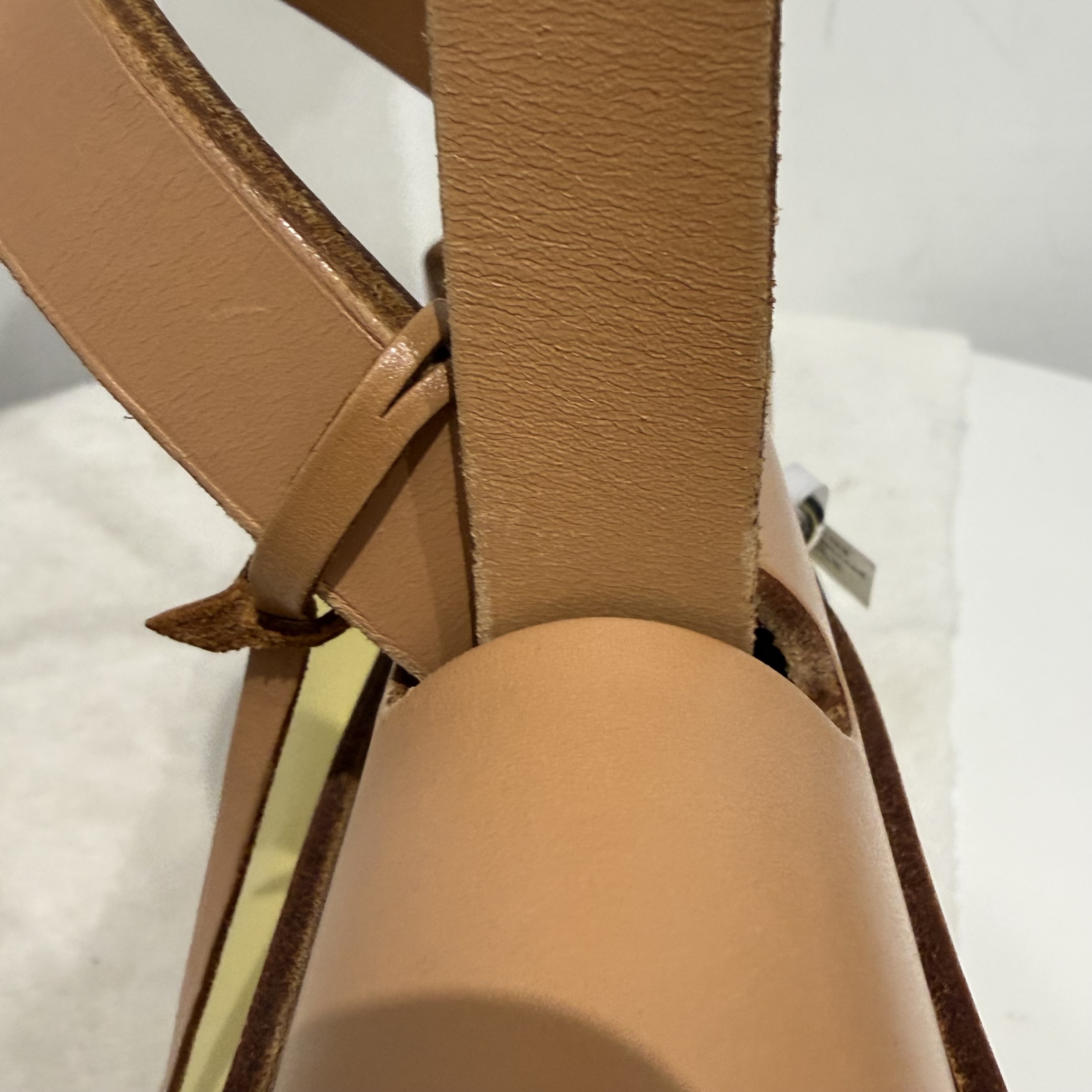 image_A803D2B6-074D-4C81-B91B-1E861E0CD538_1768439742