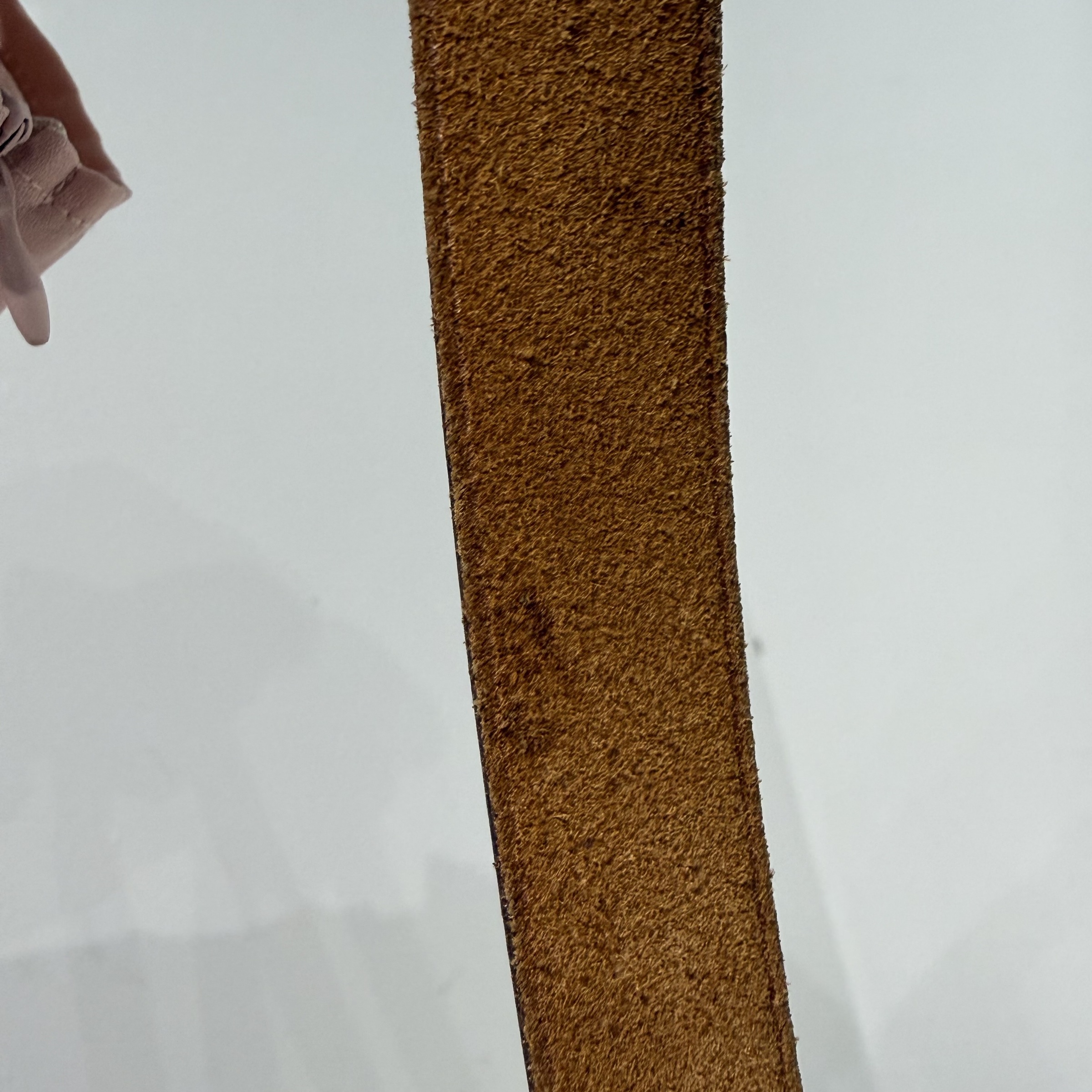 image_3125641F-7876-46C2-B9F7-736924435F41_1768439742