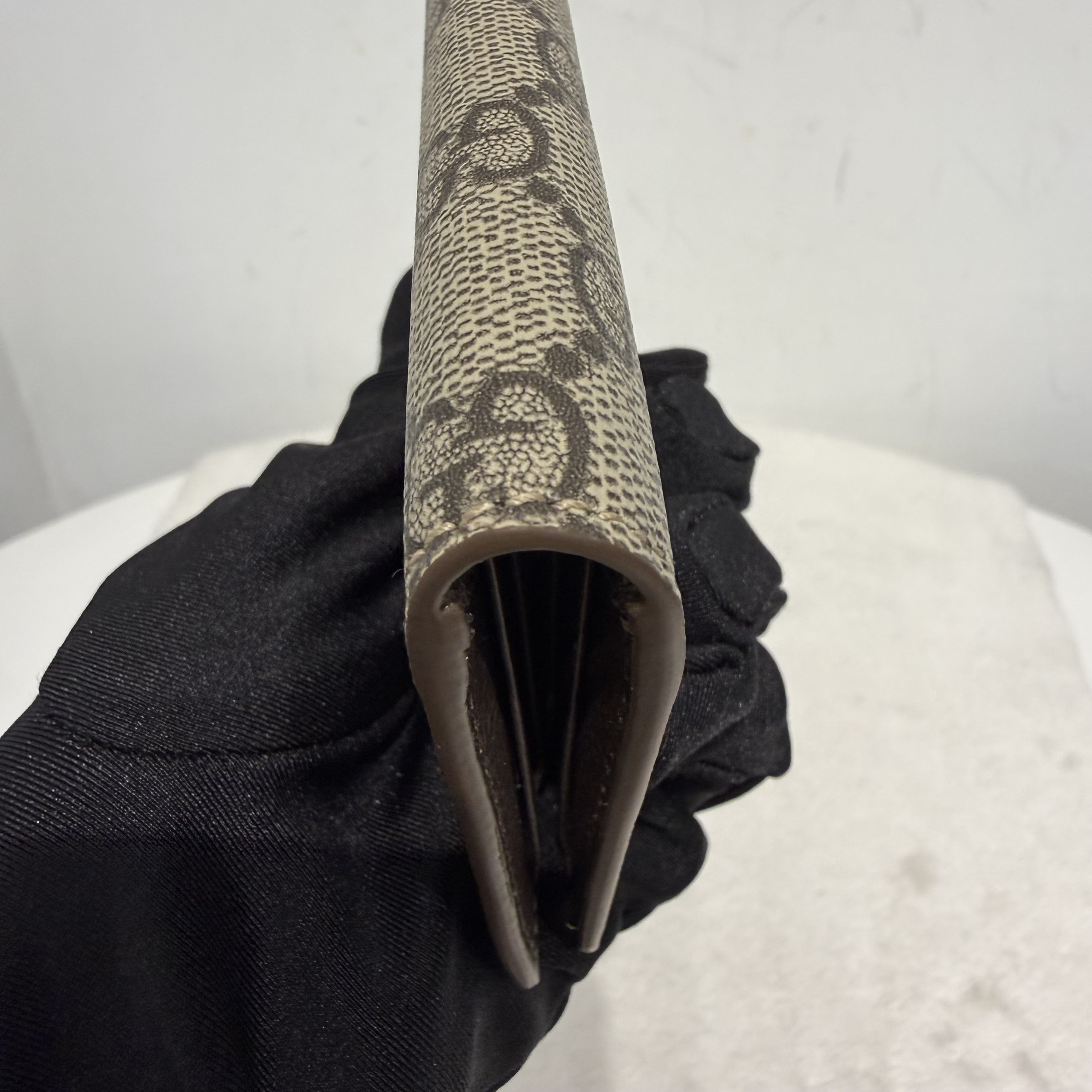 image_748E68B5-40CE-4986-A7BD-60B6AE625F73_1768534104