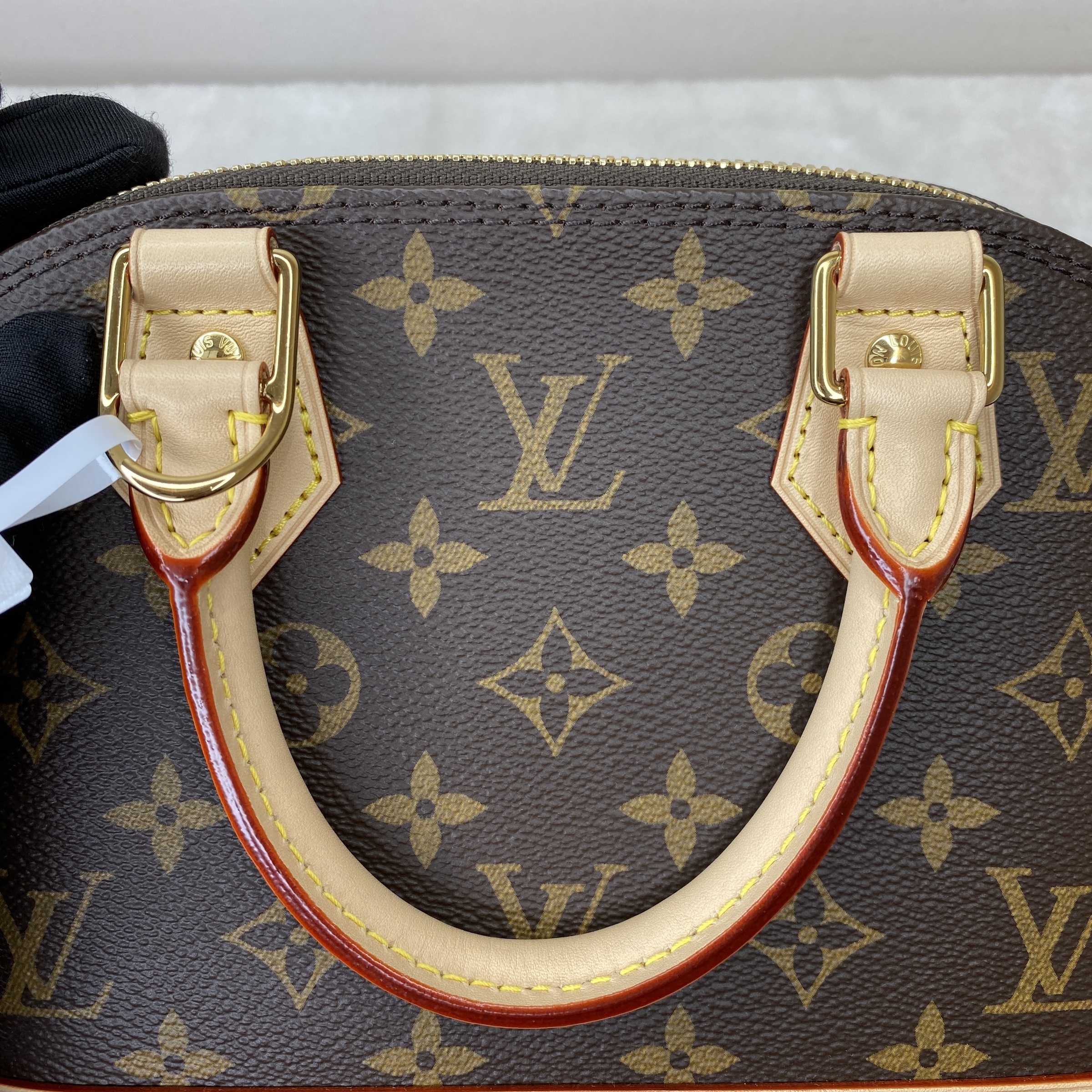 IMG_3881-1768639789794