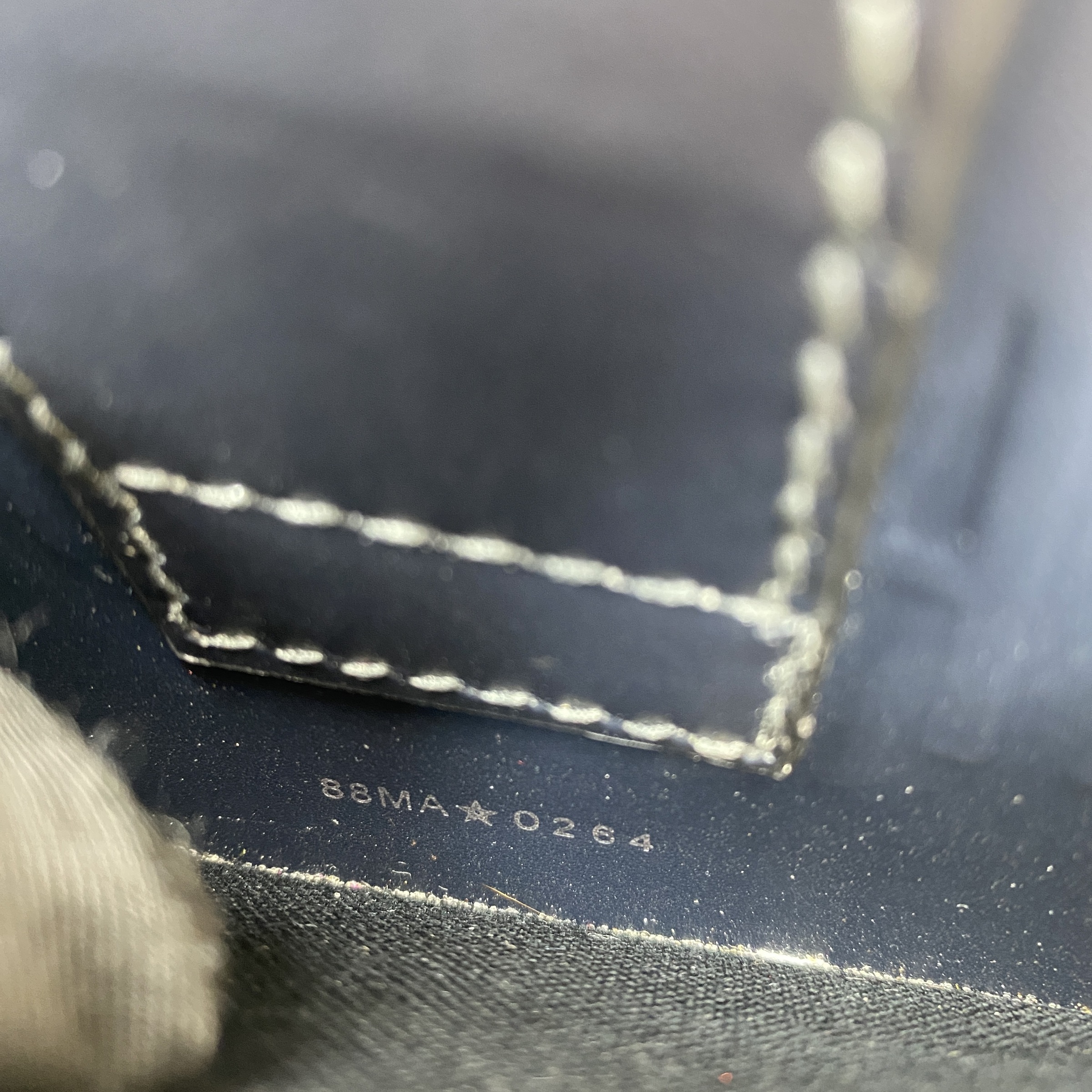 IMG_3987-1768641923631