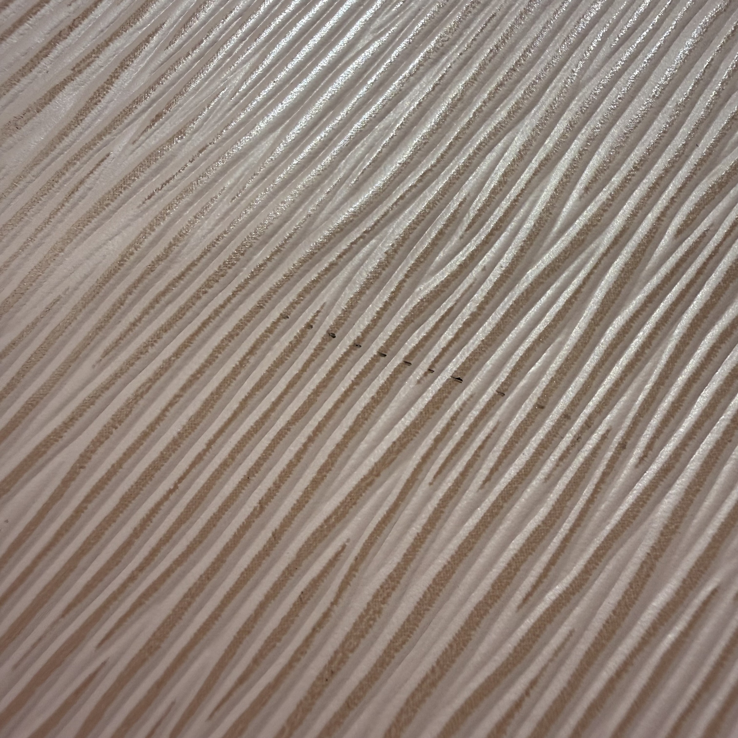 image_8DBE4C1A-3CA2-43EE-863C-EB7561D3F337_1768892851