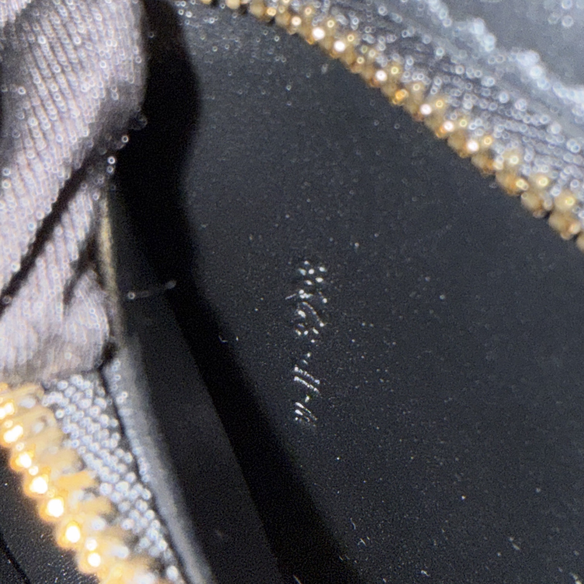 image_9D50E1FA-F547-4360-B088-BE21B094F5E6_1768893757