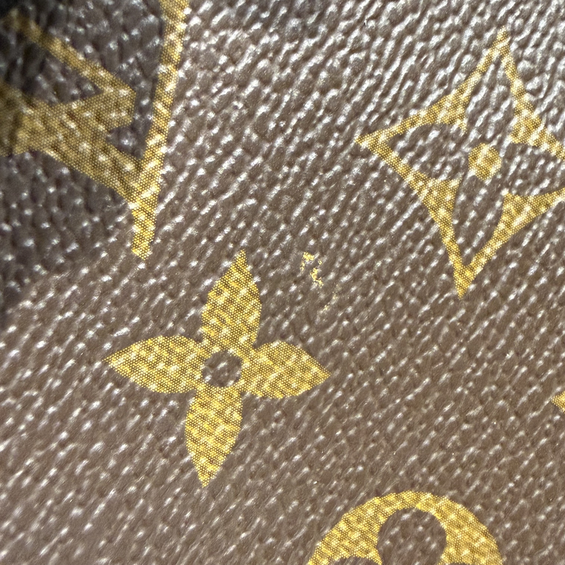 image_C4725A25-8A68-46D6-92B7-966DCFD9E2BD_1768894581