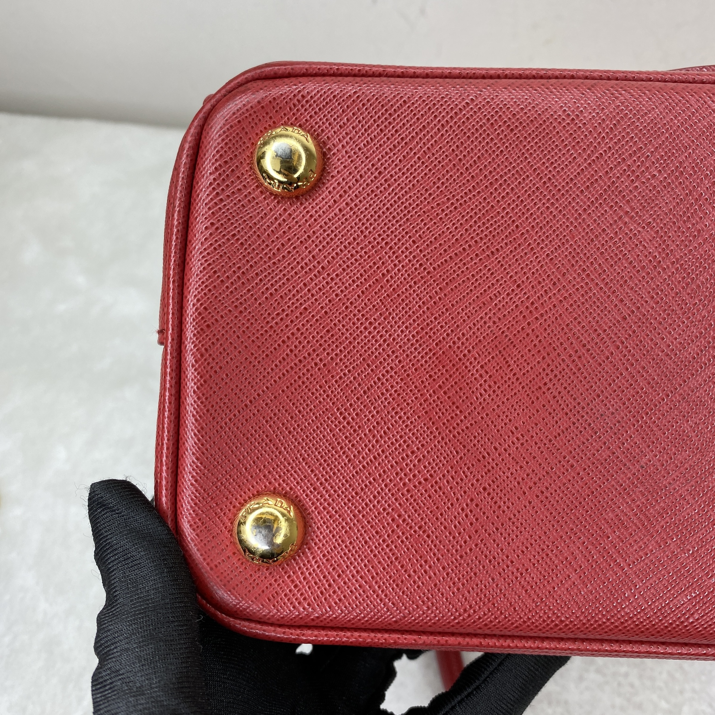 IMG_4427-1769073303806