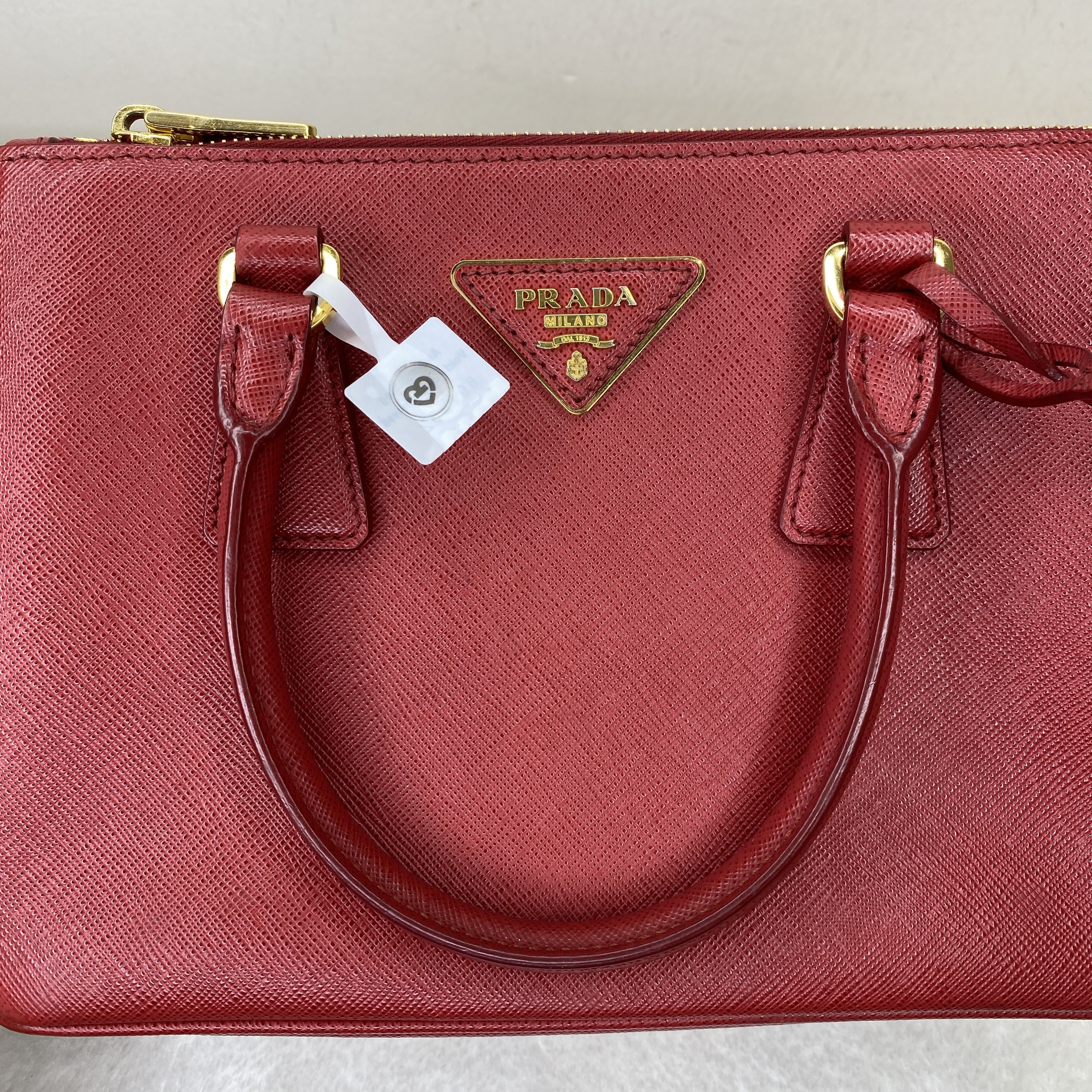 IMG_4435-1769073303649