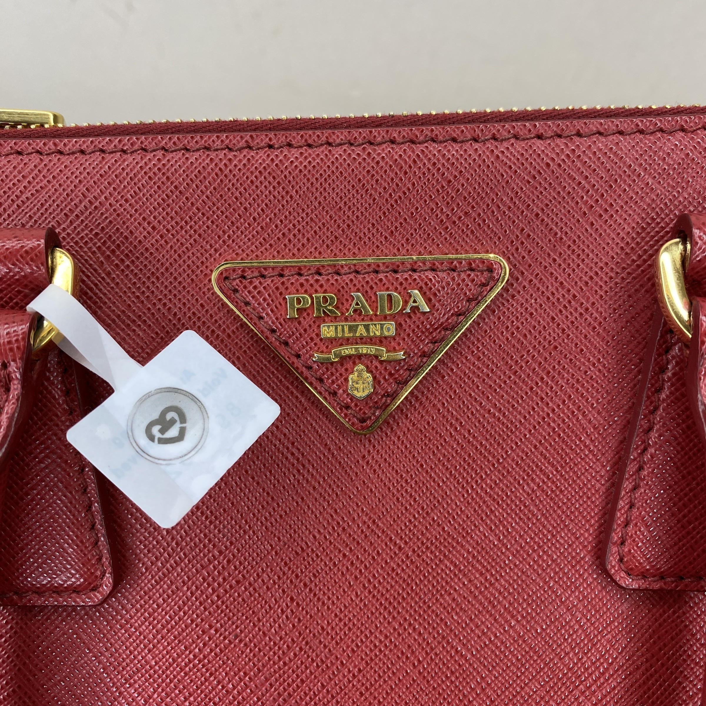 IMG_4436-1769073305172