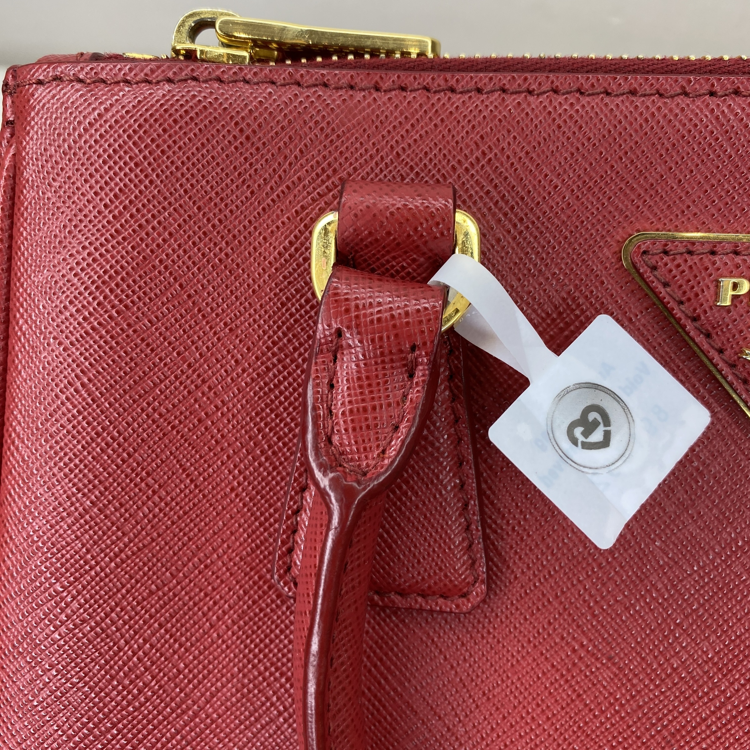 IMG_4438-1769073305523