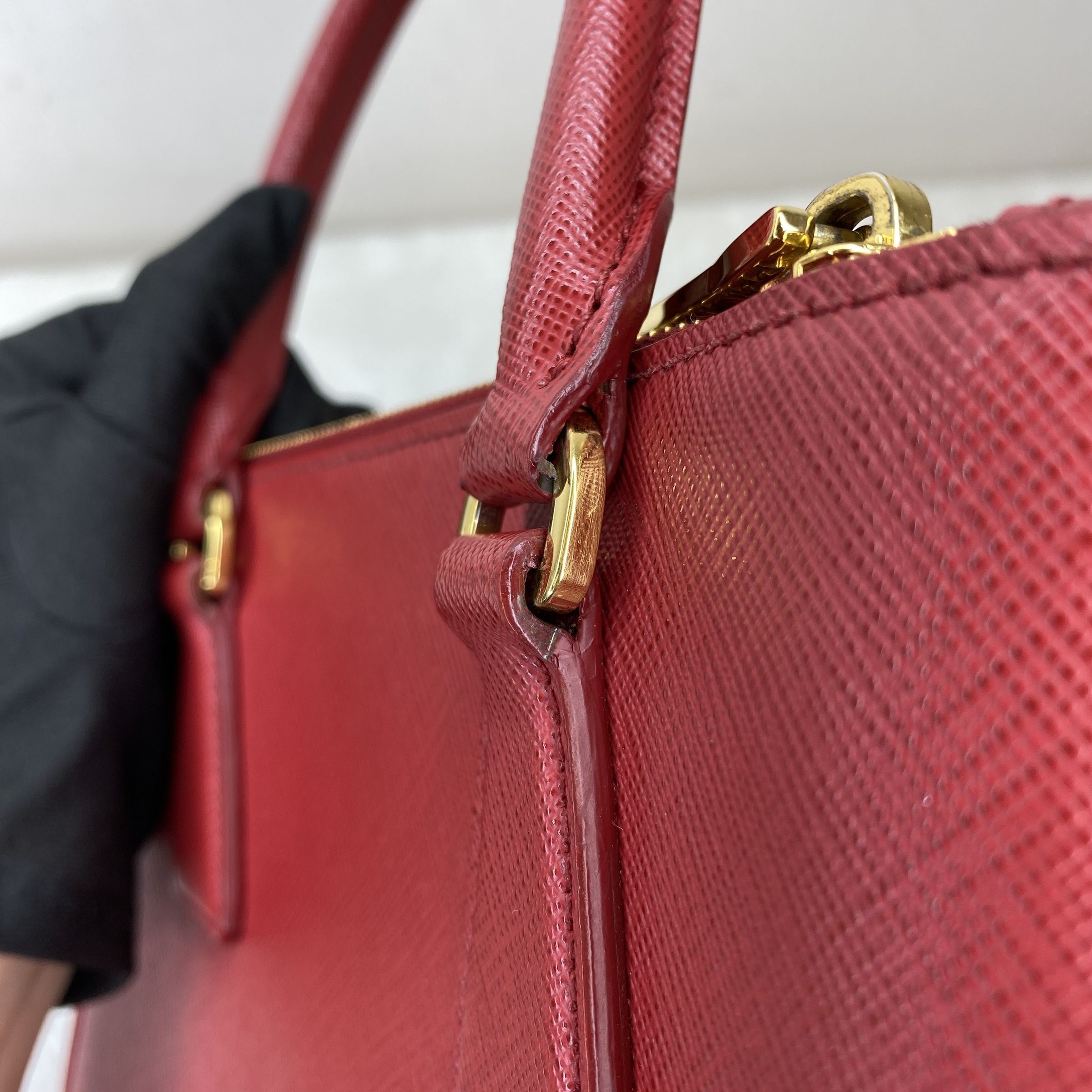 IMG_4446-1769073304613