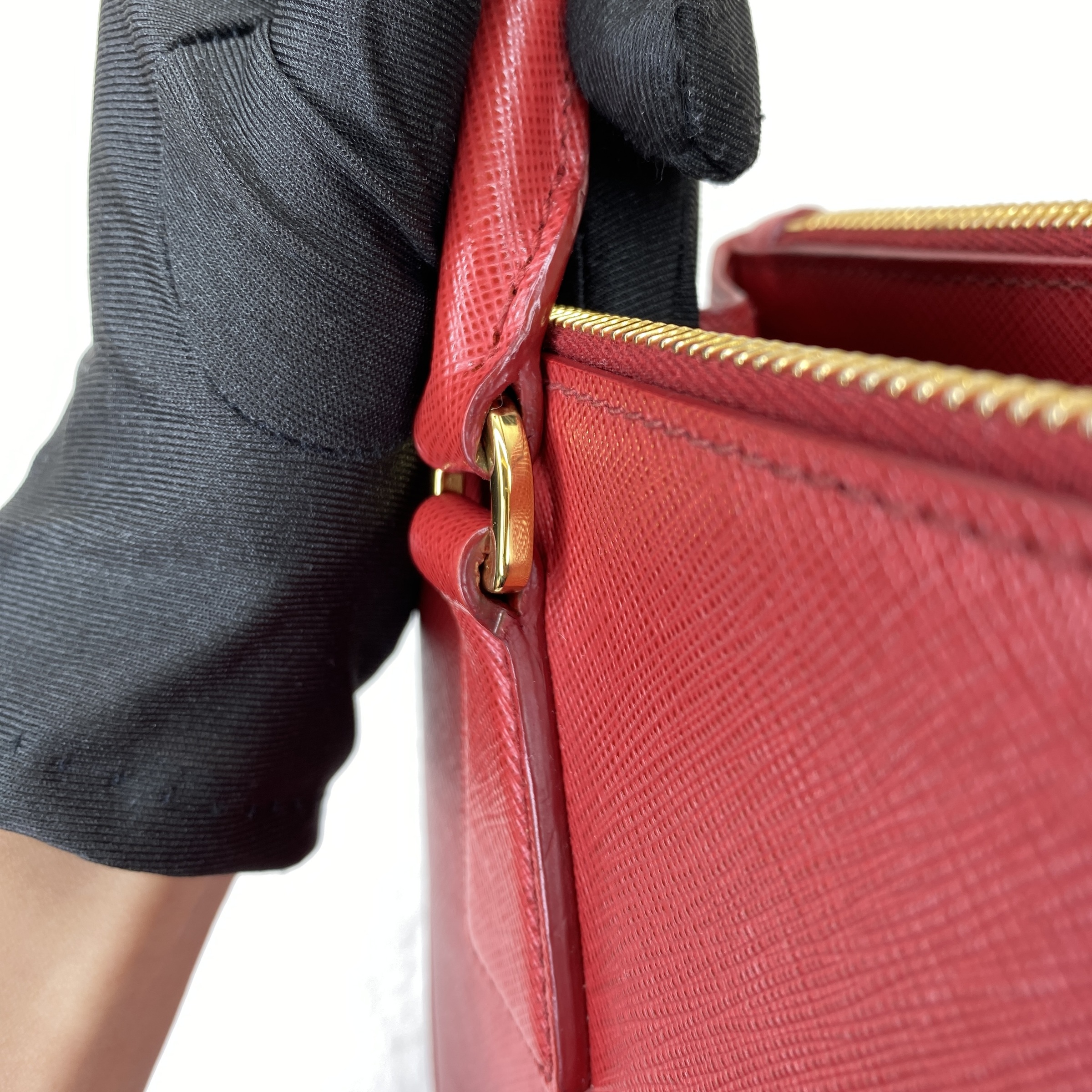 IMG_4449-1769073303861