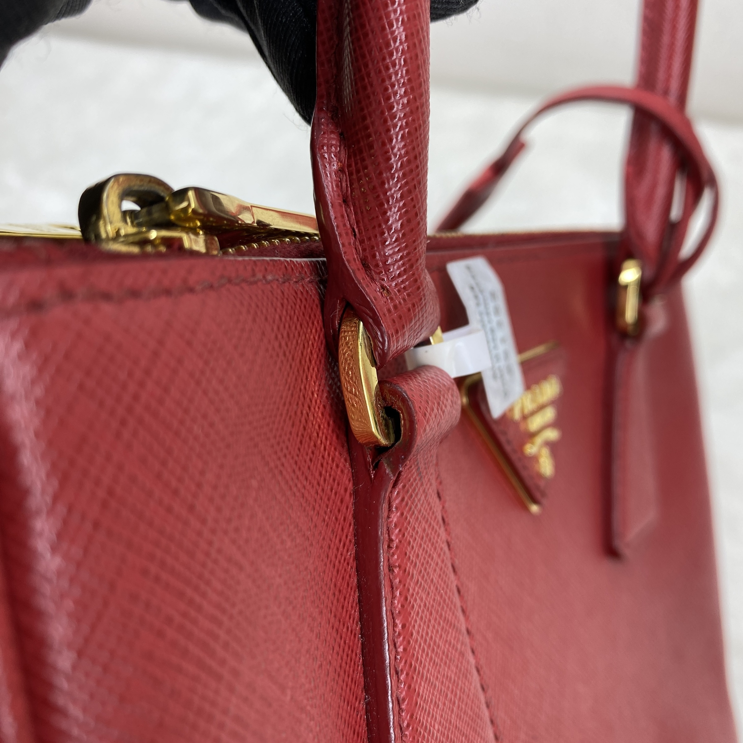 IMG_4452-1769073304501