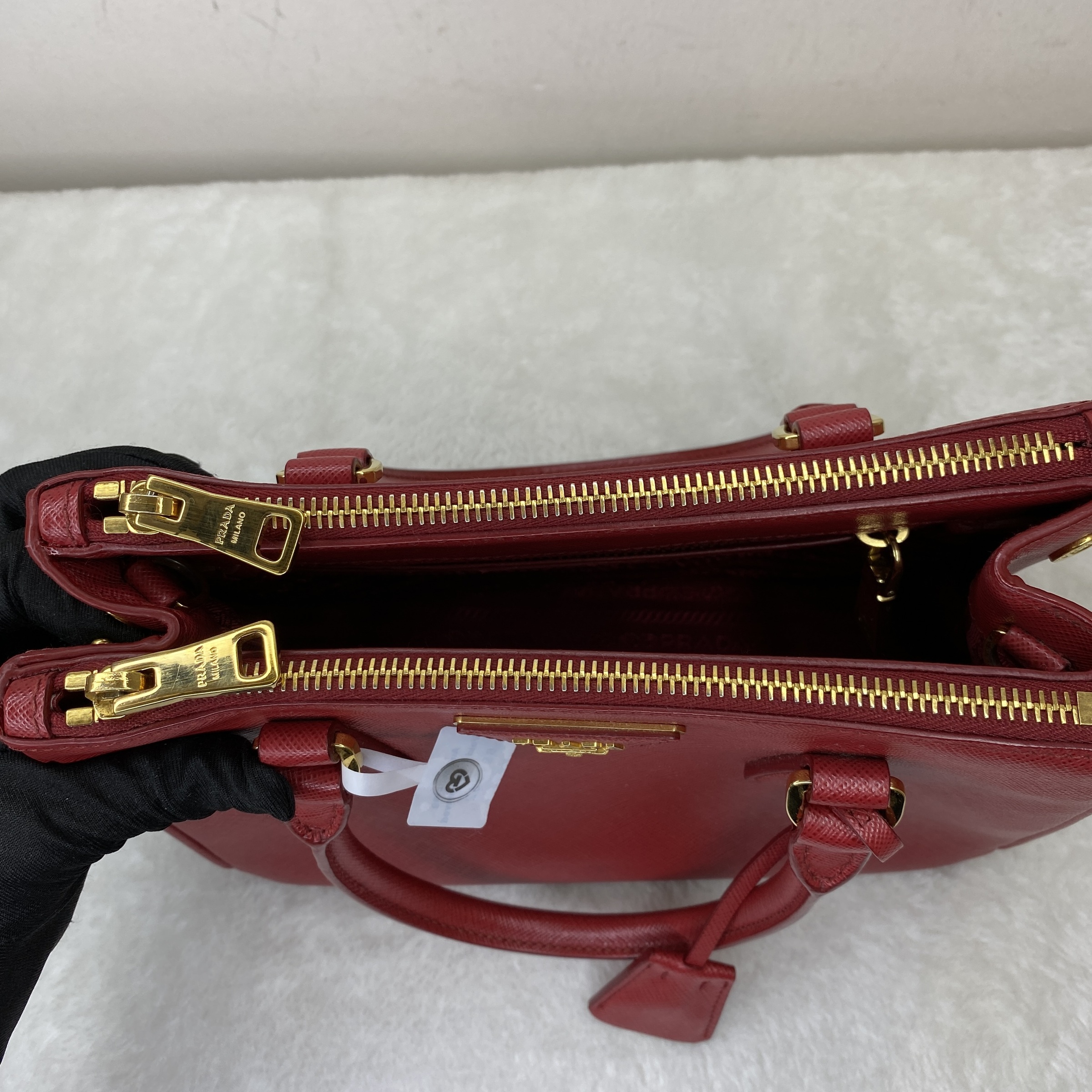 IMG_4454-1769073304278