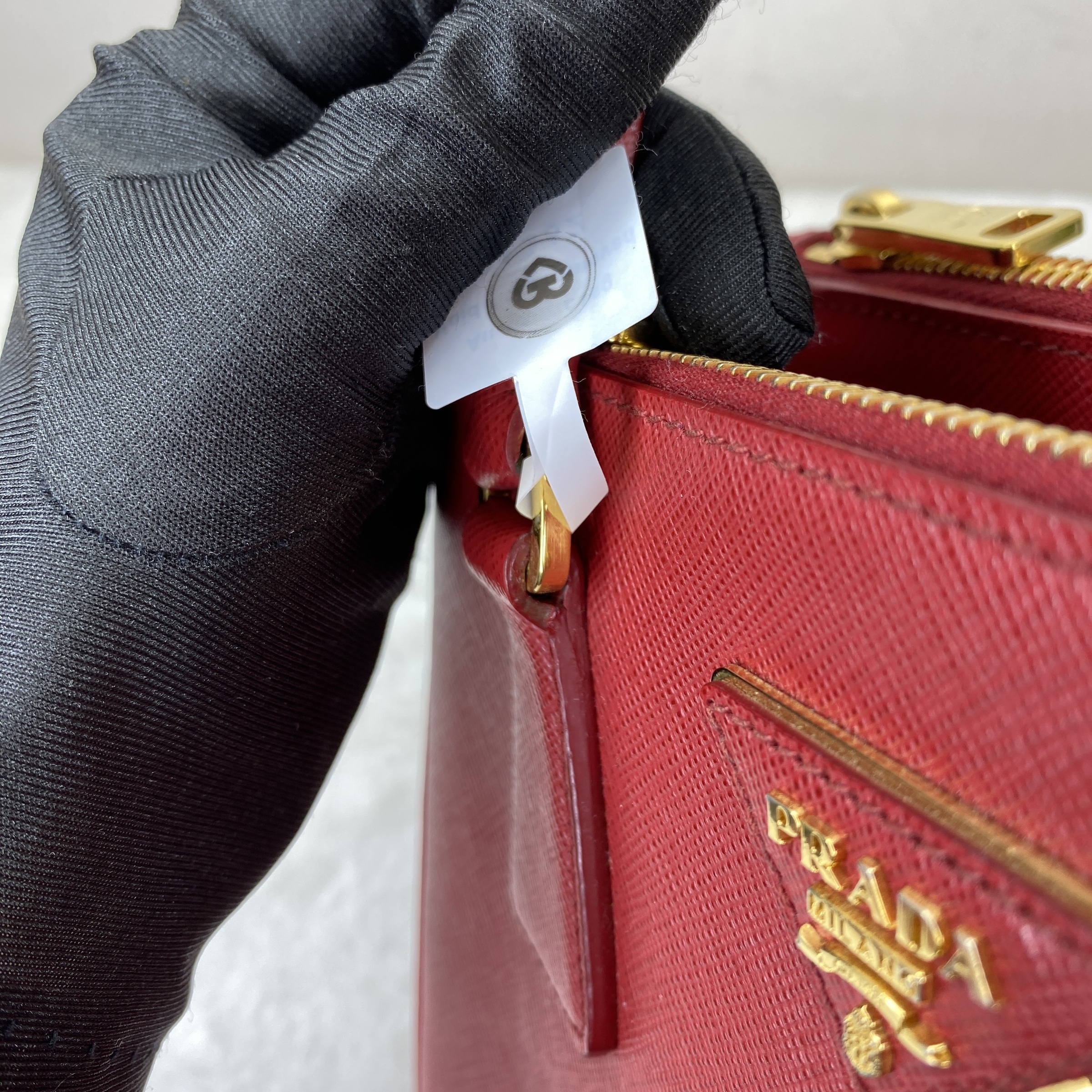 IMG_4453-1769073304228