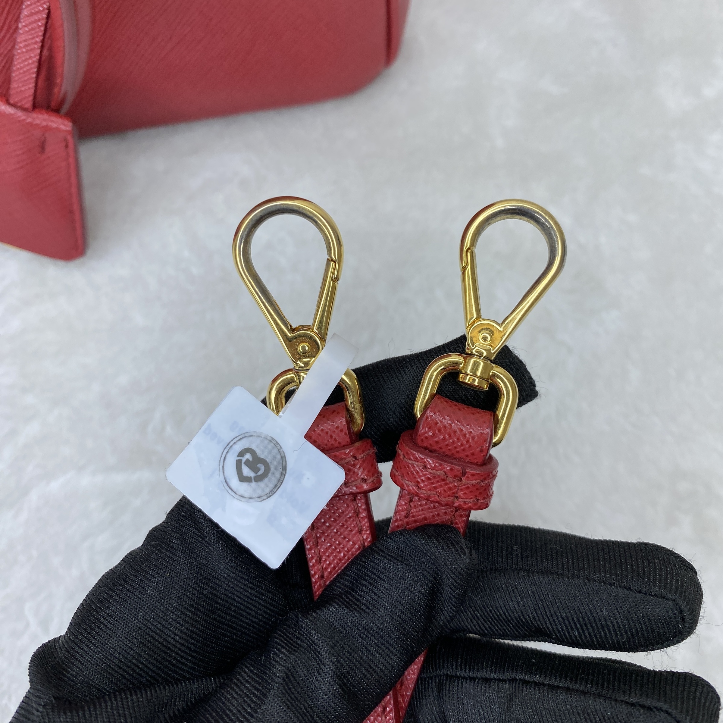 IMG_4462-1769073303728