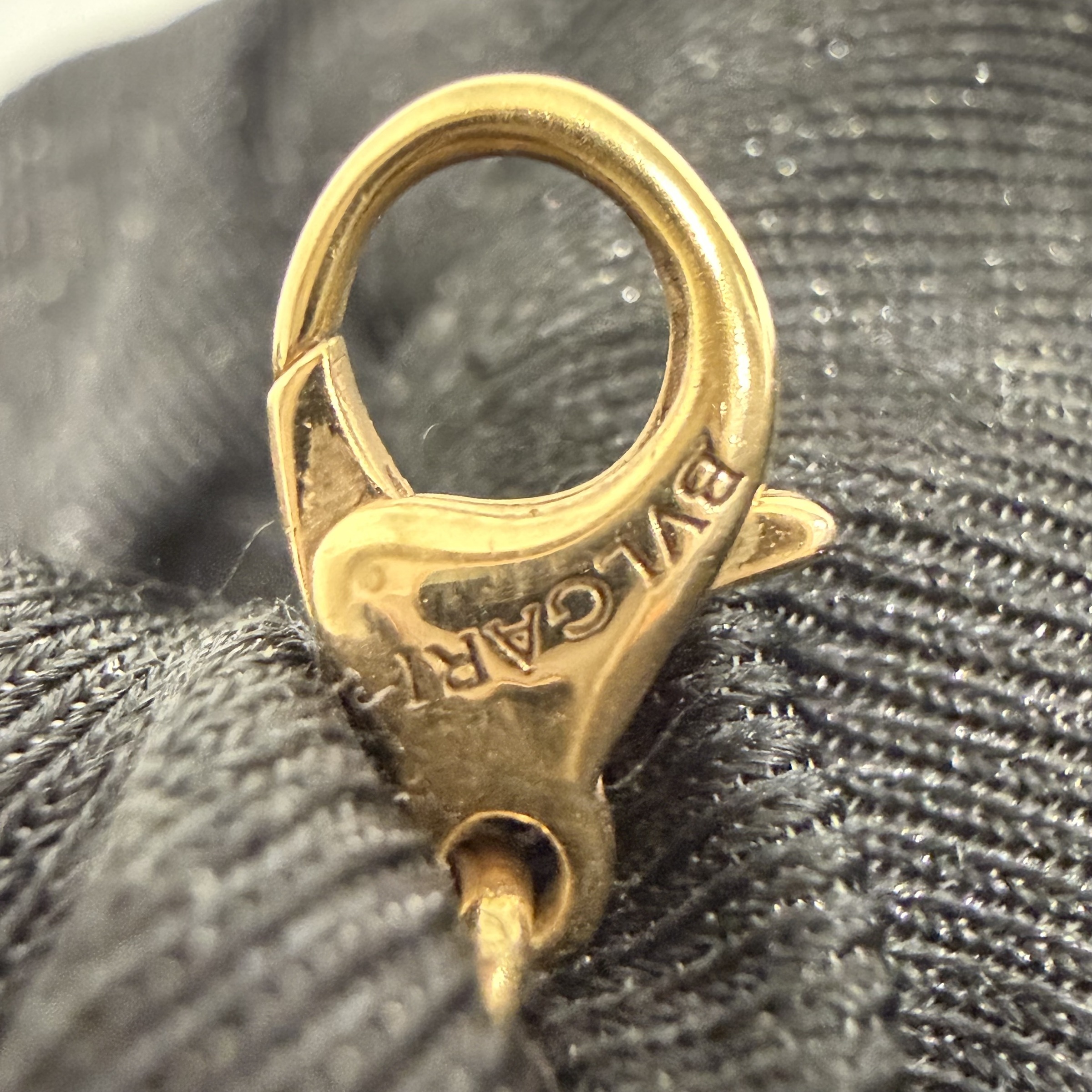 image_626F1372-FFE8-449C-9DE0-37FC431BC7CE_1769083270