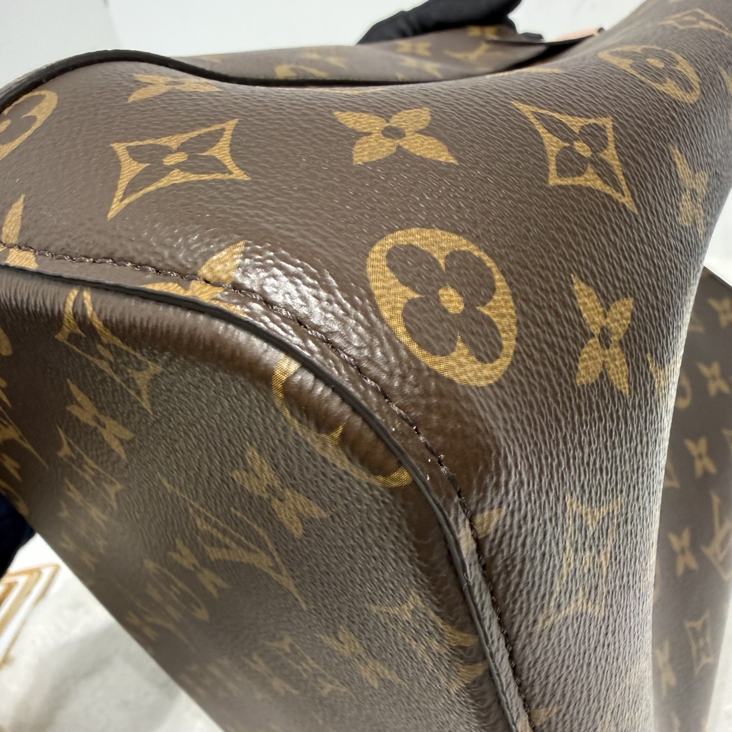 image_1FF9DE40-FC0A-44B2-A384-AD74BA99AE7E_1769083873