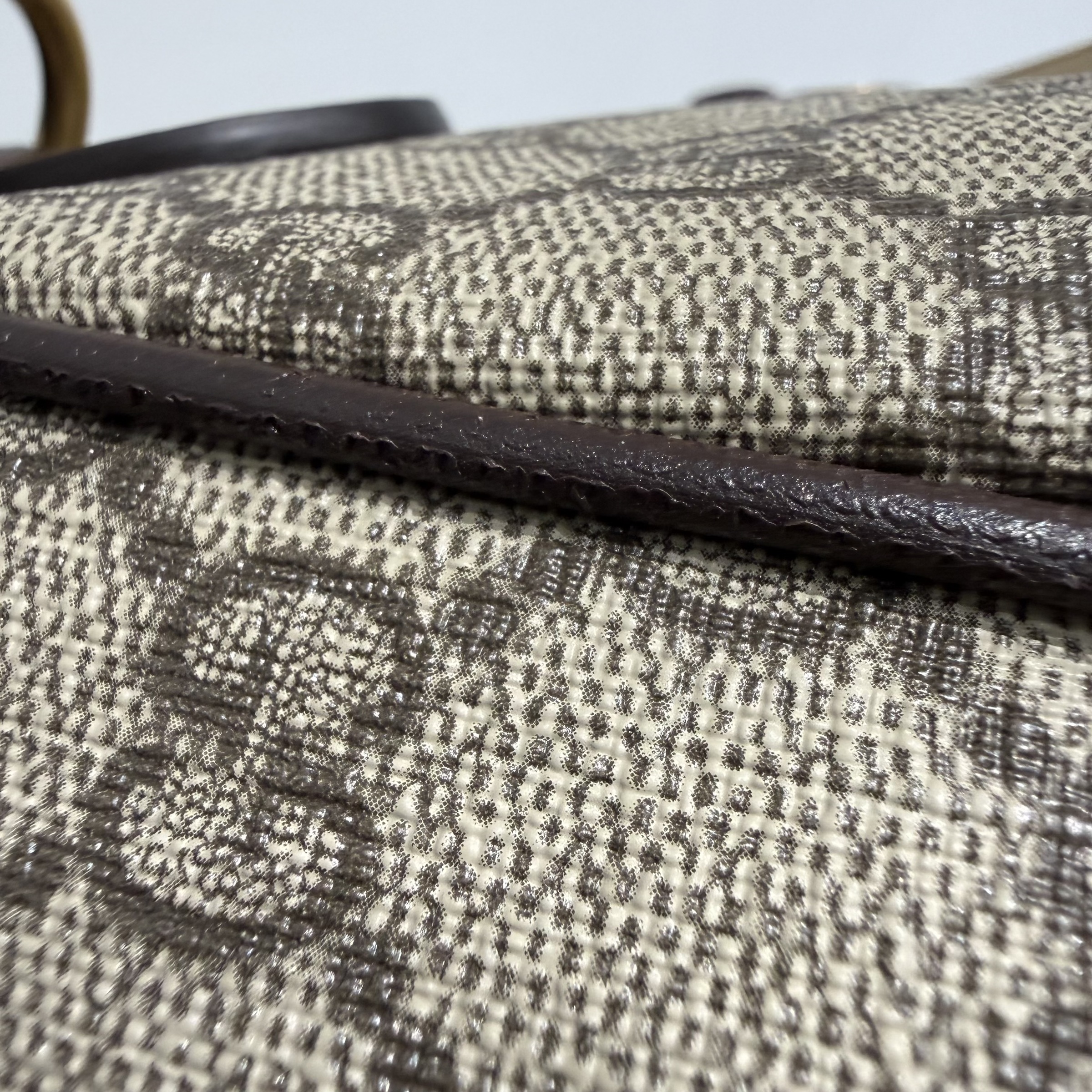 image_B9552AA4-60A6-460E-B9D3-290865021C6B_1769088459