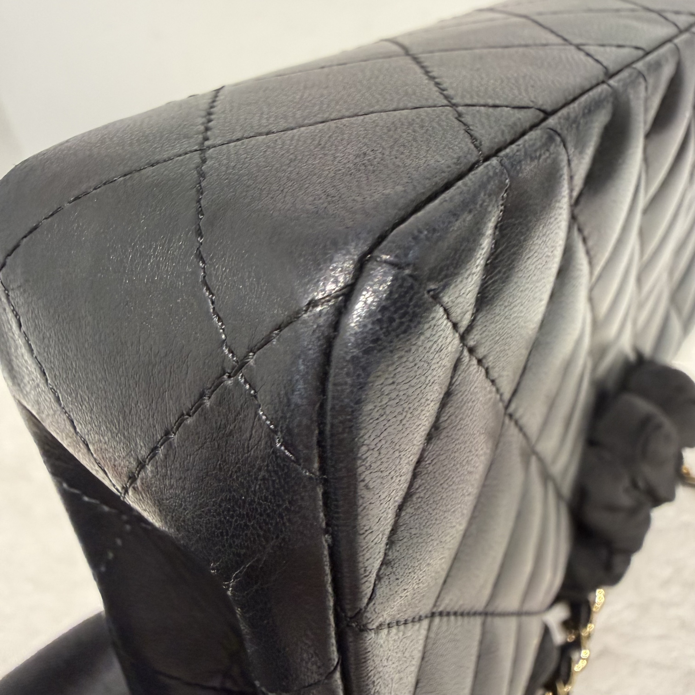 image_7259E9E6-AD3B-4007-B012-683941F7244D_1769233853