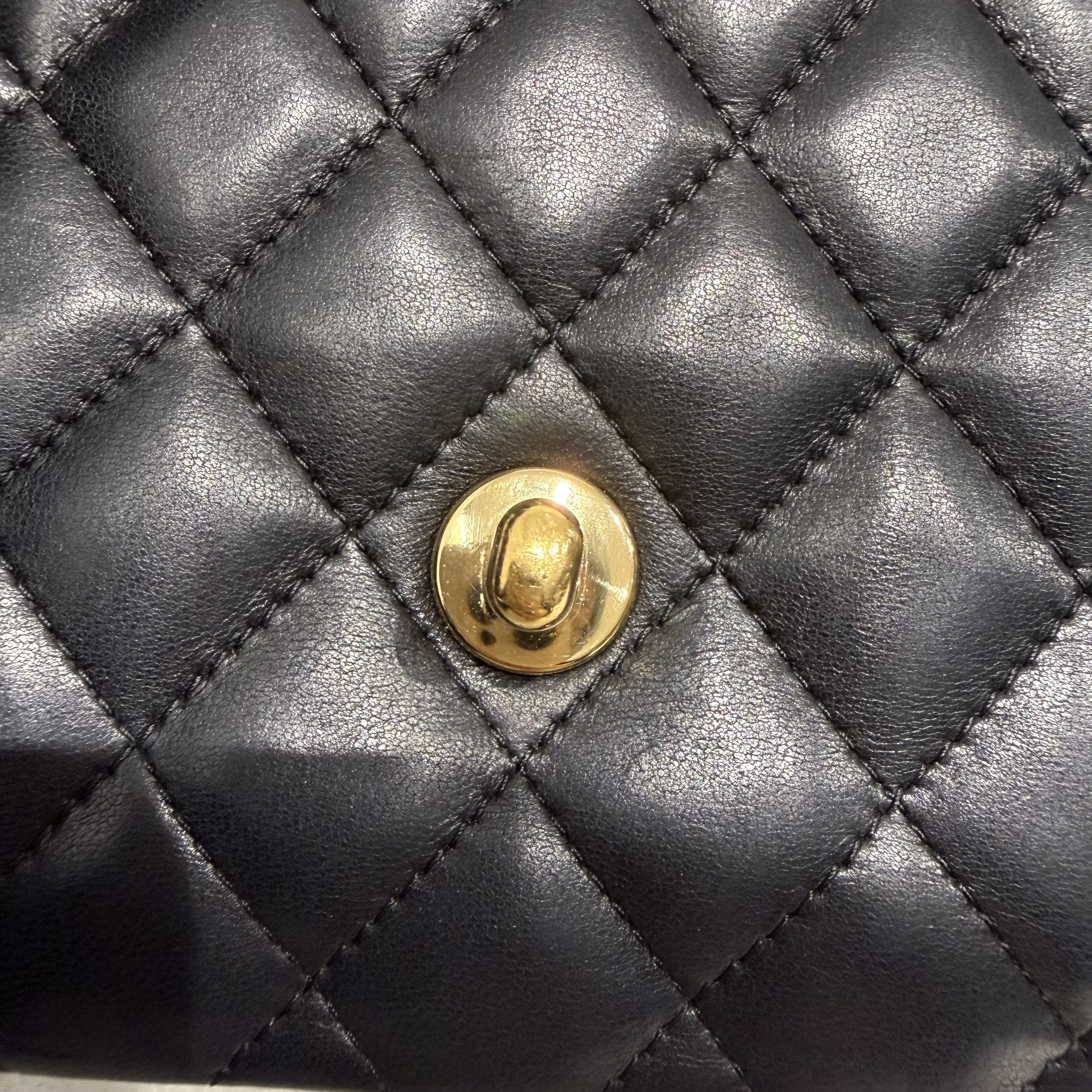 image_3F1A05A1-9742-4F36-87C4-E706CA80EC2C_1769233853