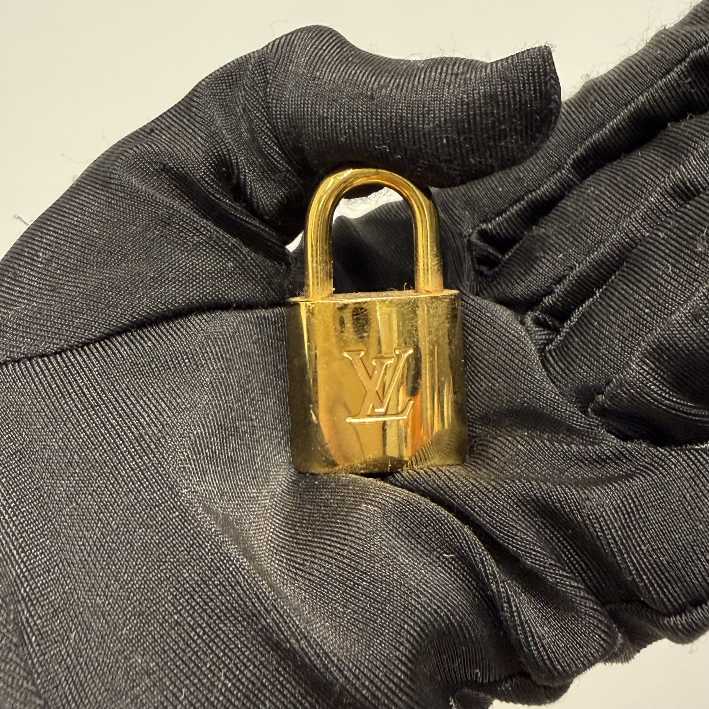 image_5801C635-7DAF-4082-93B9-331383EE1ADA_1769673802