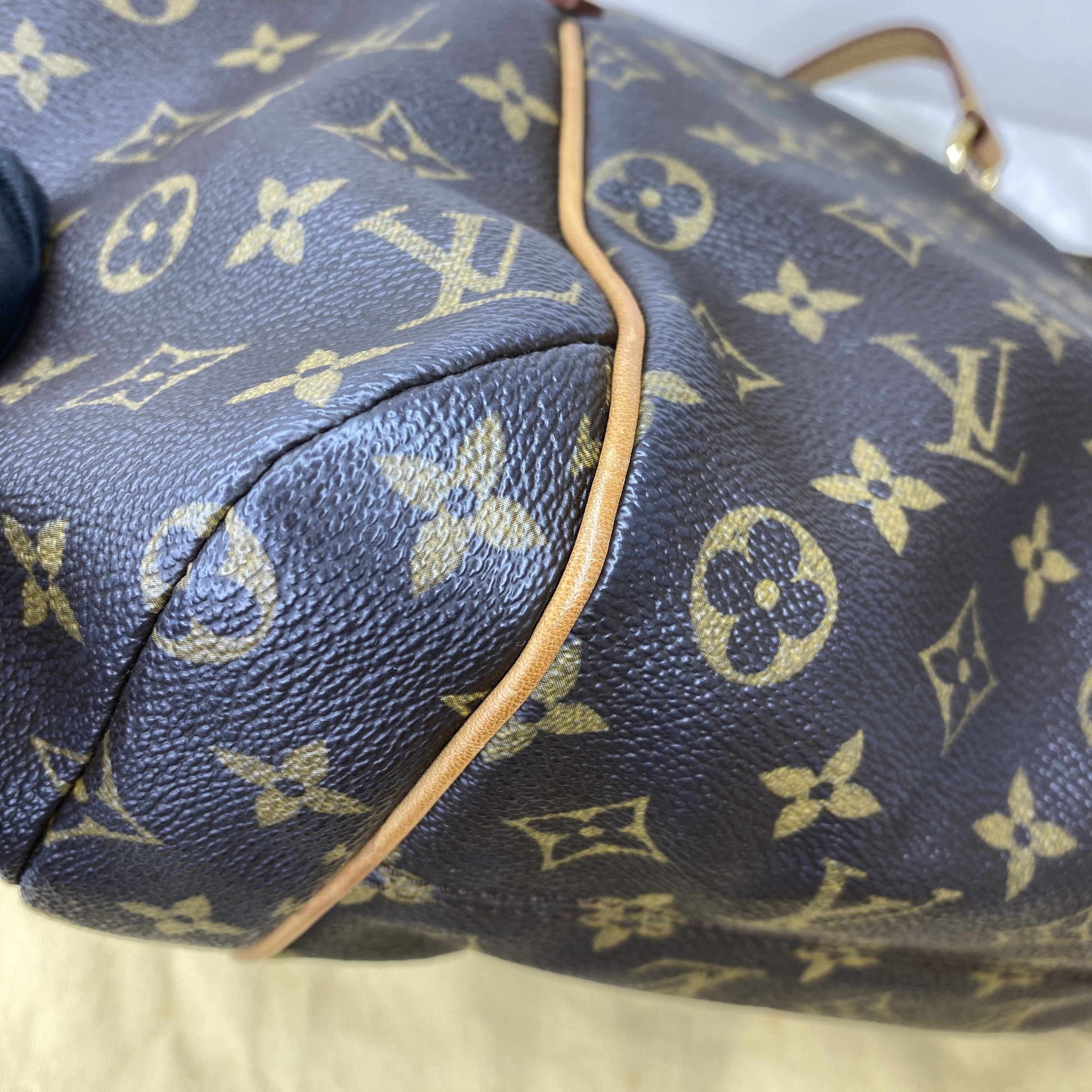 IMG_5151-1769854338447