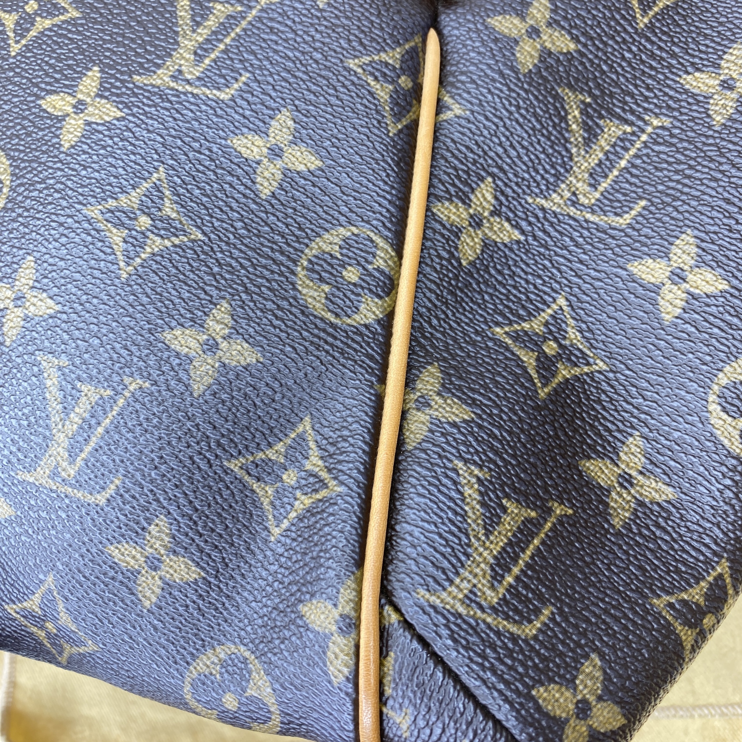 IMG_5156-1769854336349