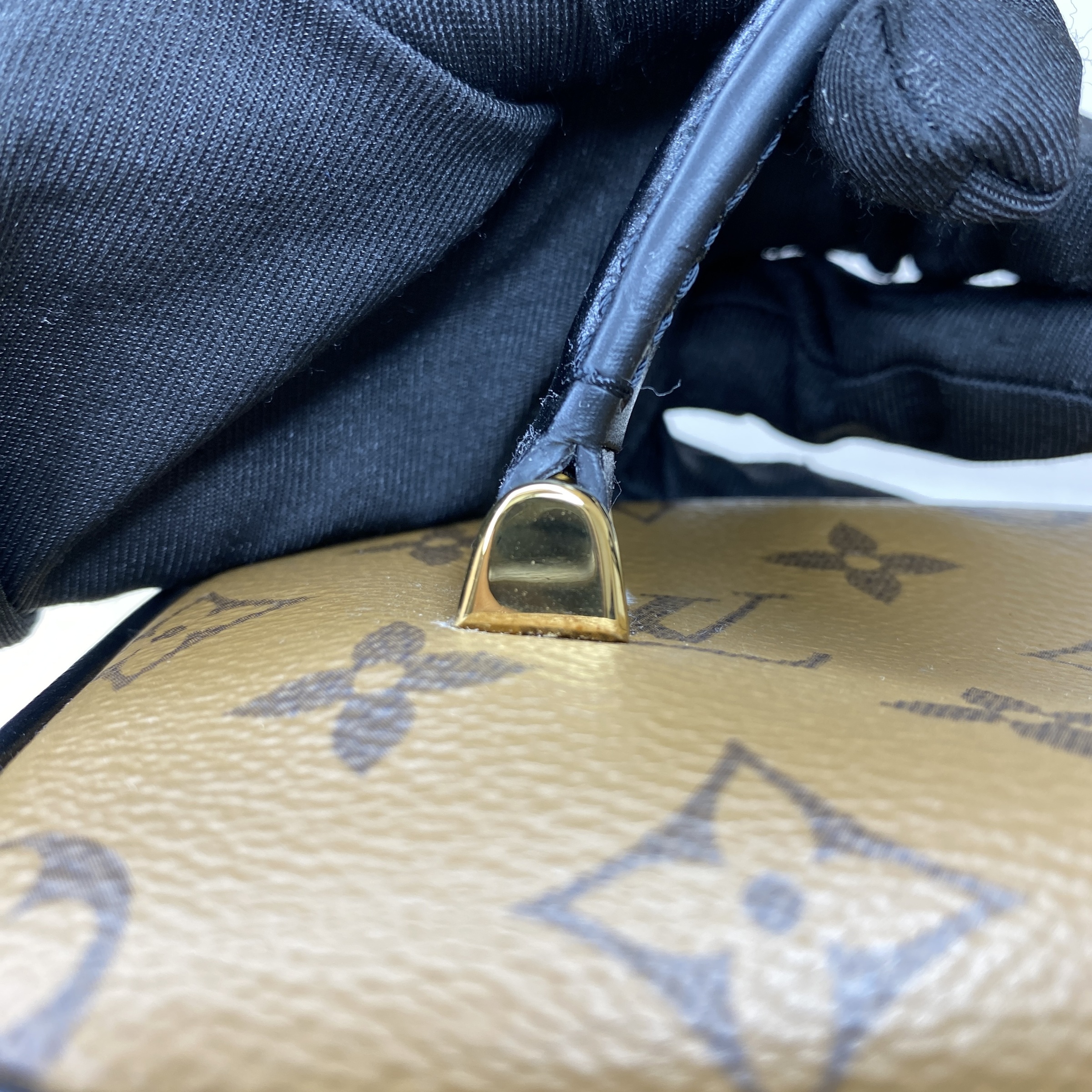 IMG_5317-1770184633615