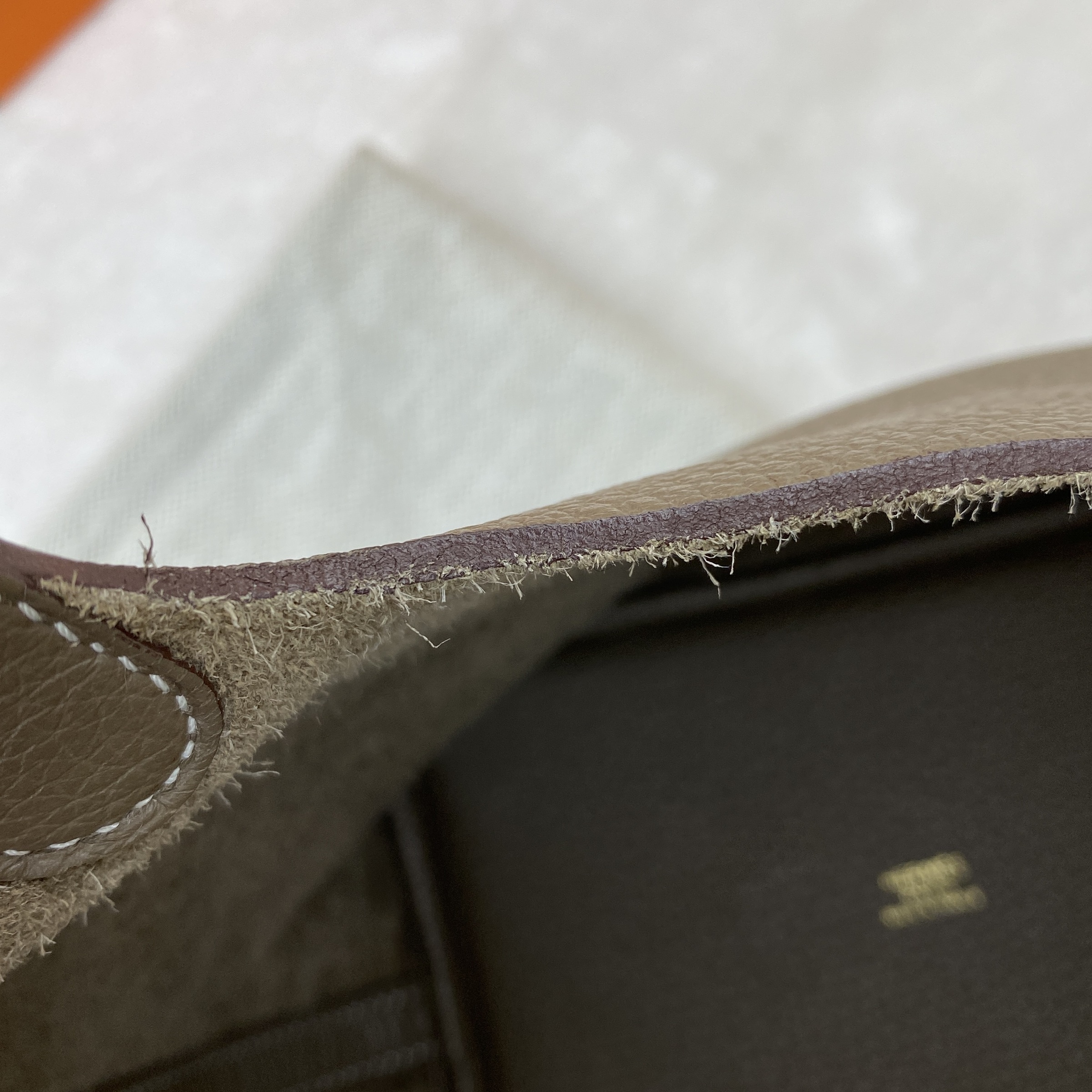 IMG_5389-1770187115604