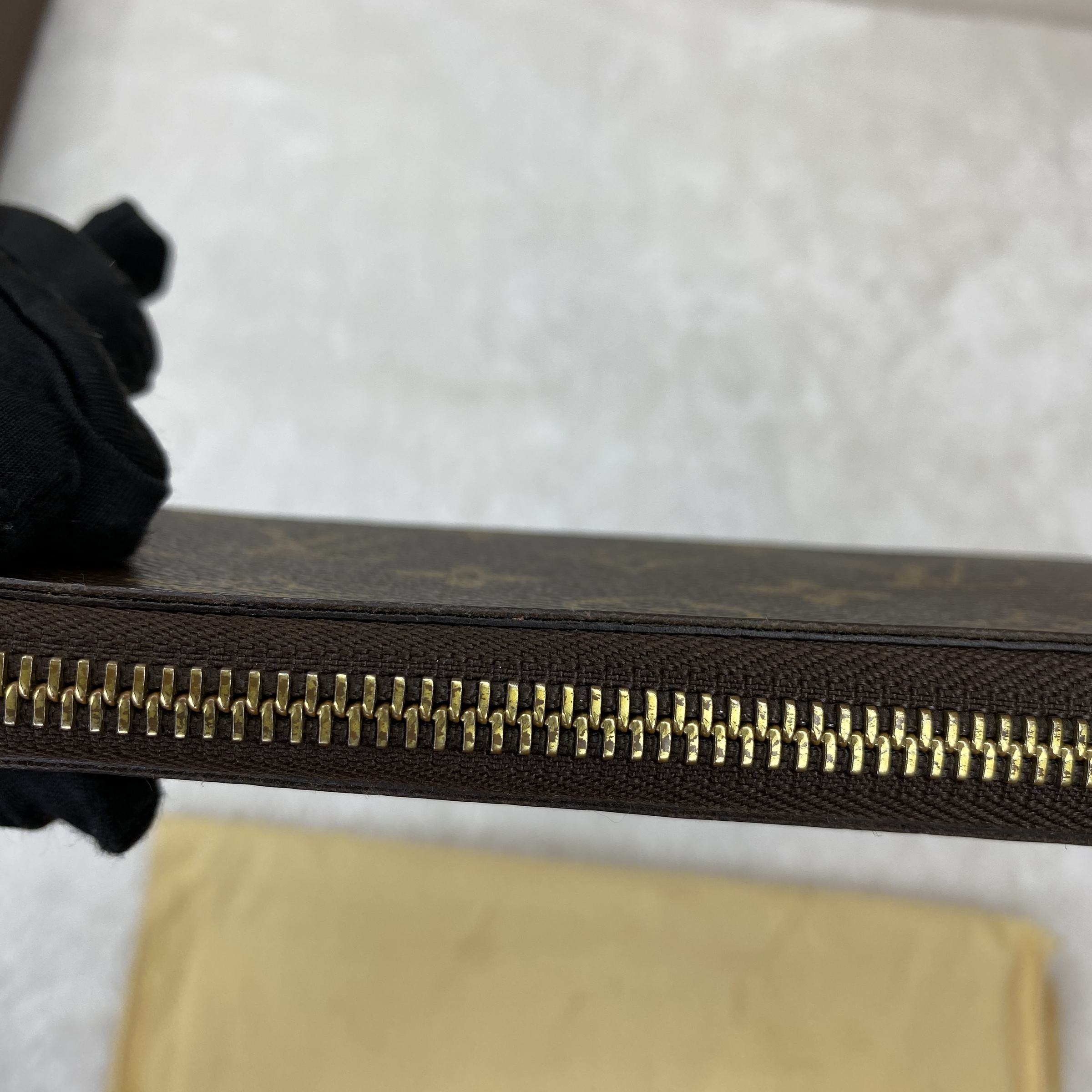 IMG_5488-1770435695785