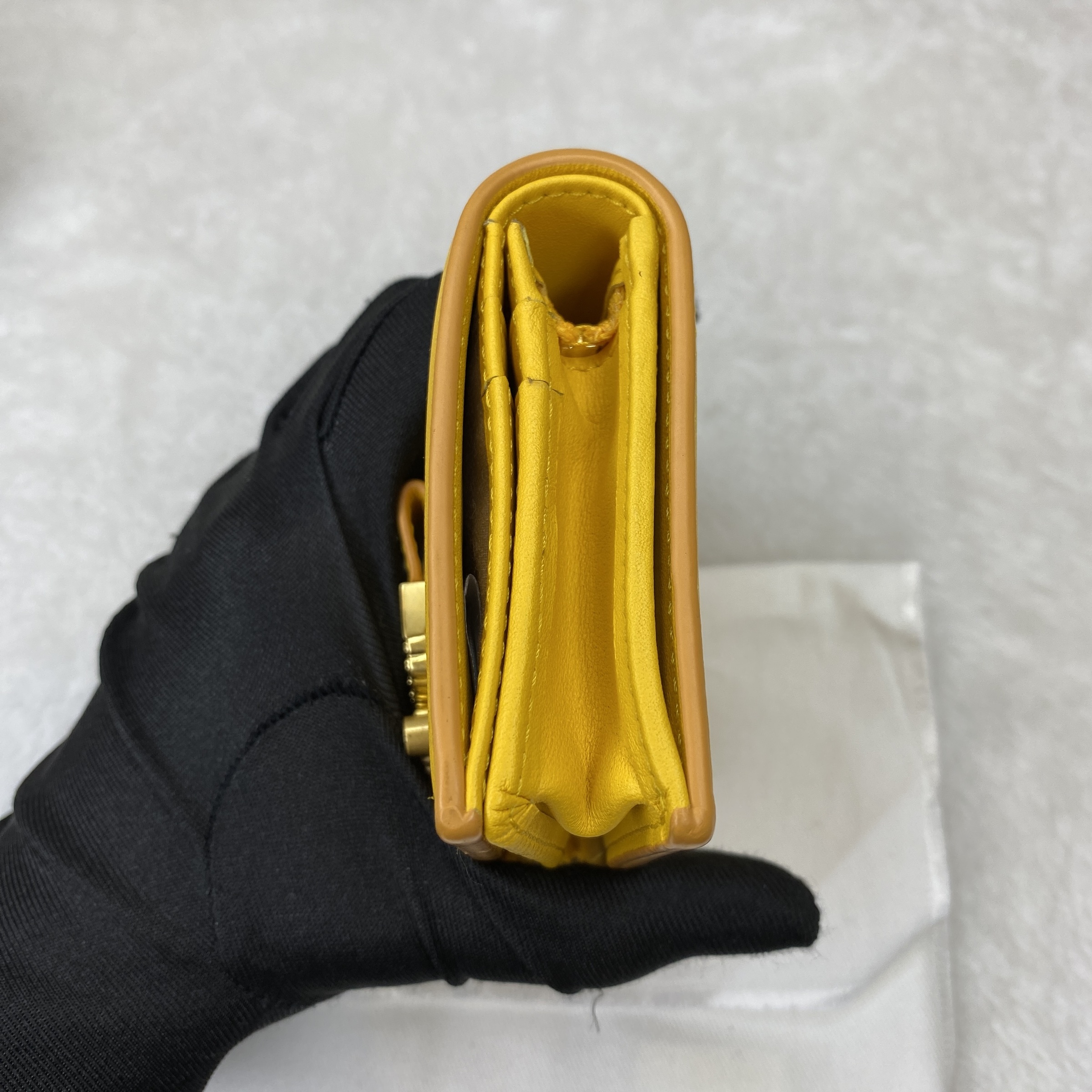 IMG_5658-1770621581973