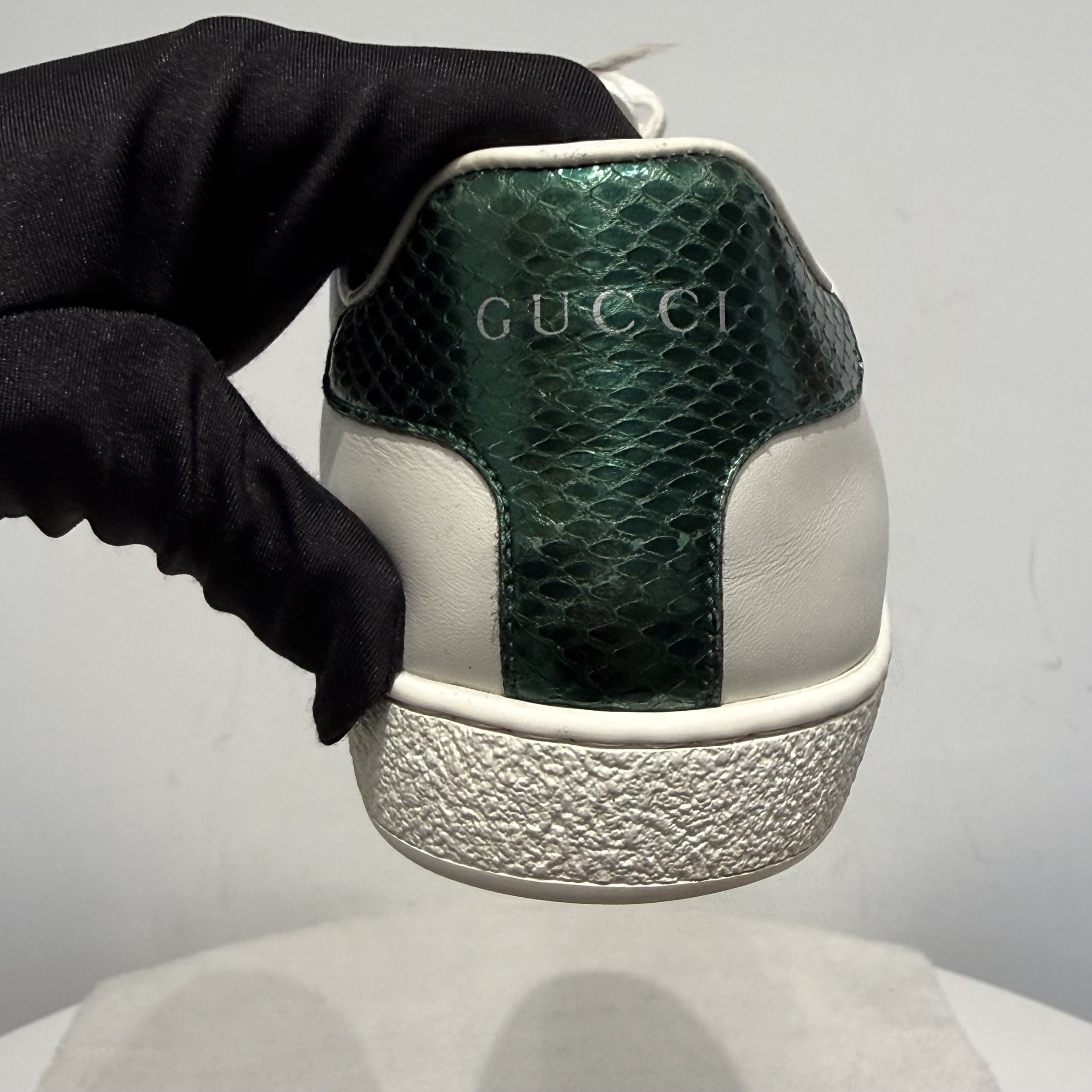 image_D5F8F1B5-E55C-4847-8399-FDC5002307D4_1770885478