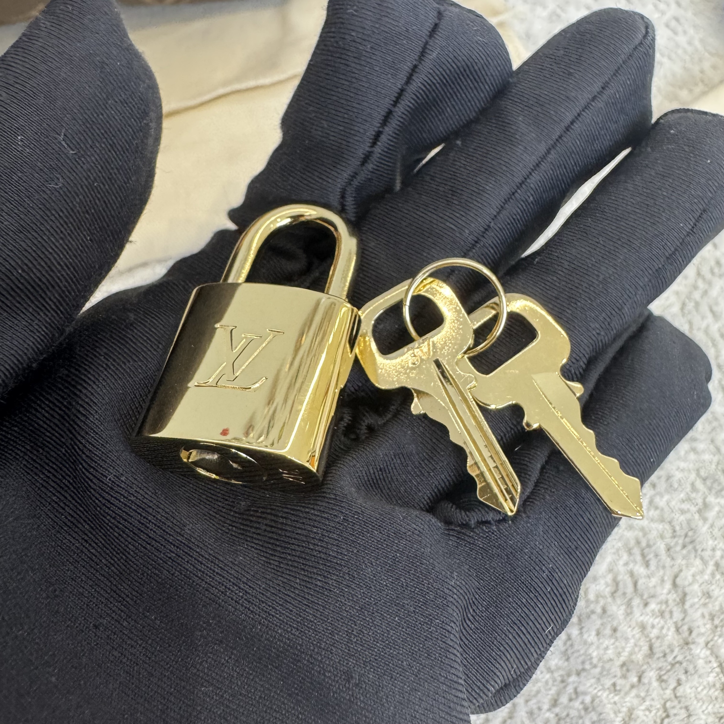 image_1BF236BB-8E00-444D-A2C9-698A94B1D60E_1771659286