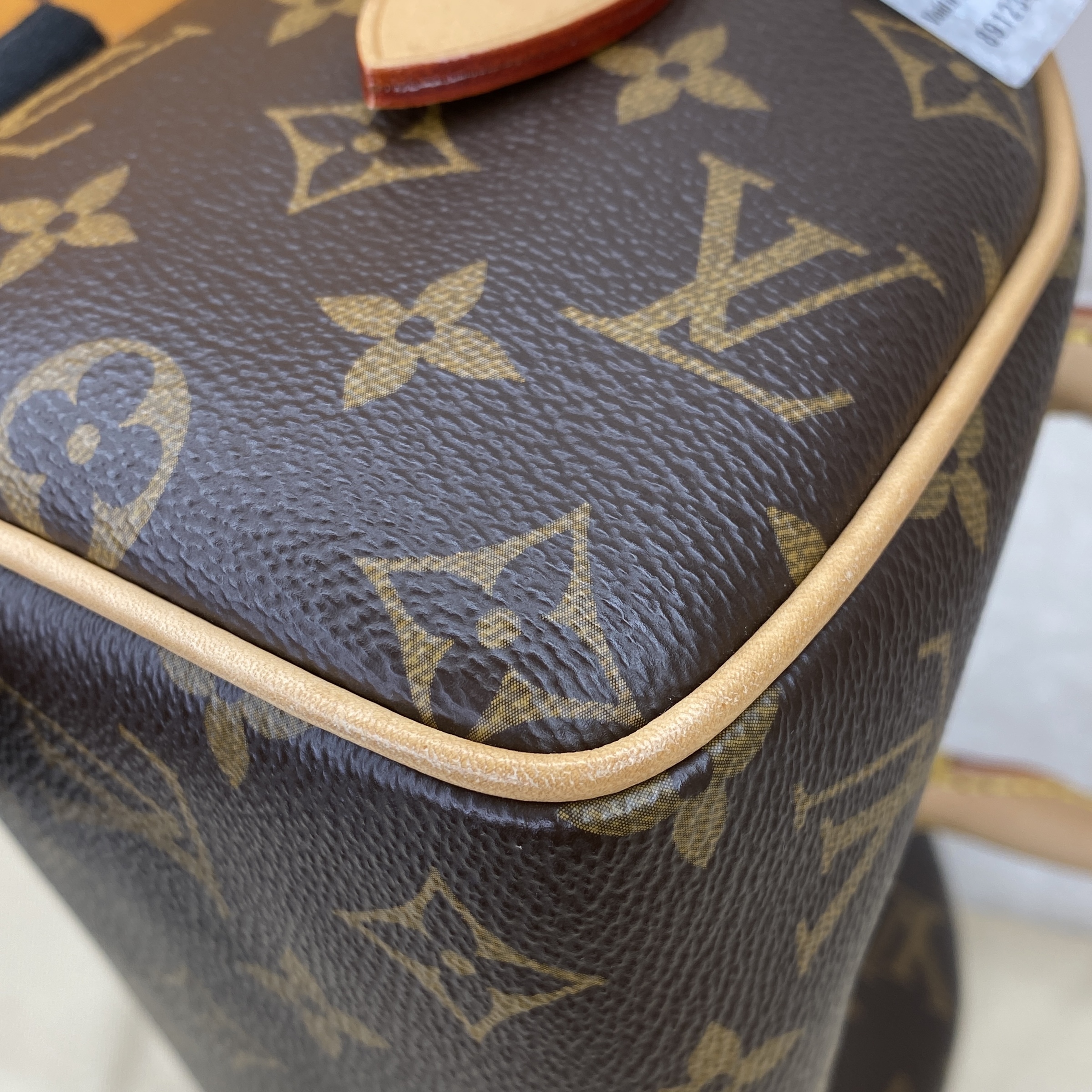 IMG_6512-1771916370409