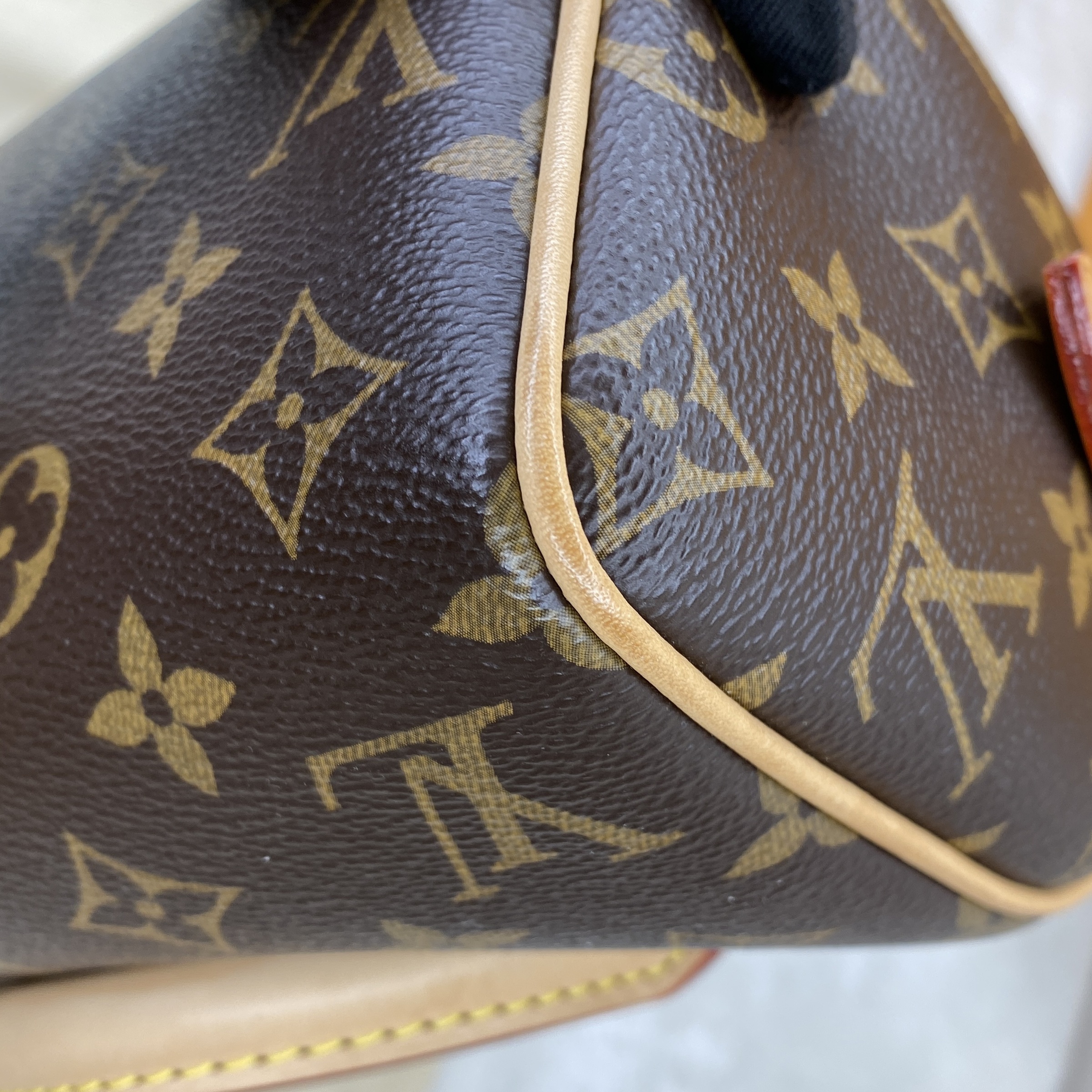 IMG_6510-1771916370656