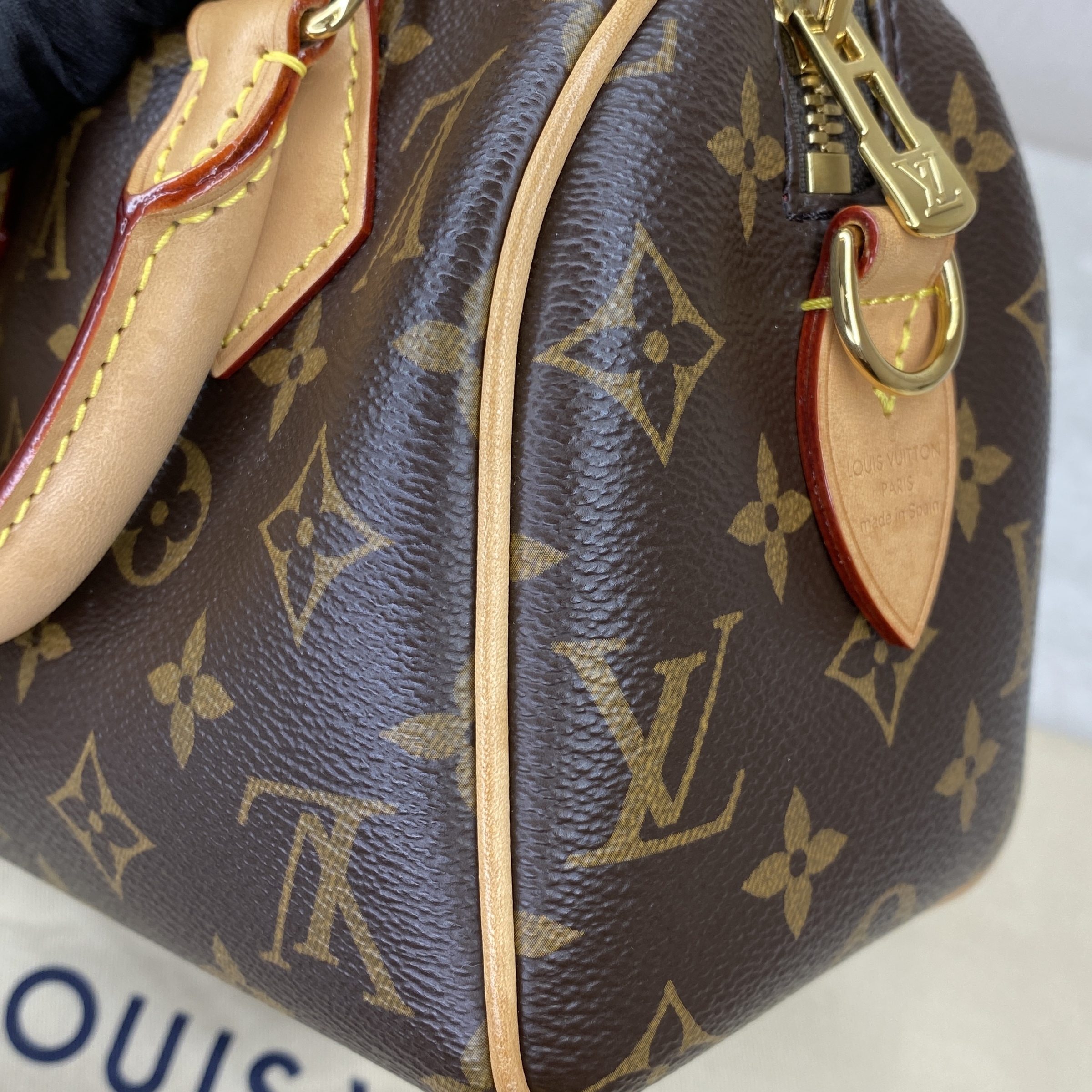 IMG_6526-1771916370735