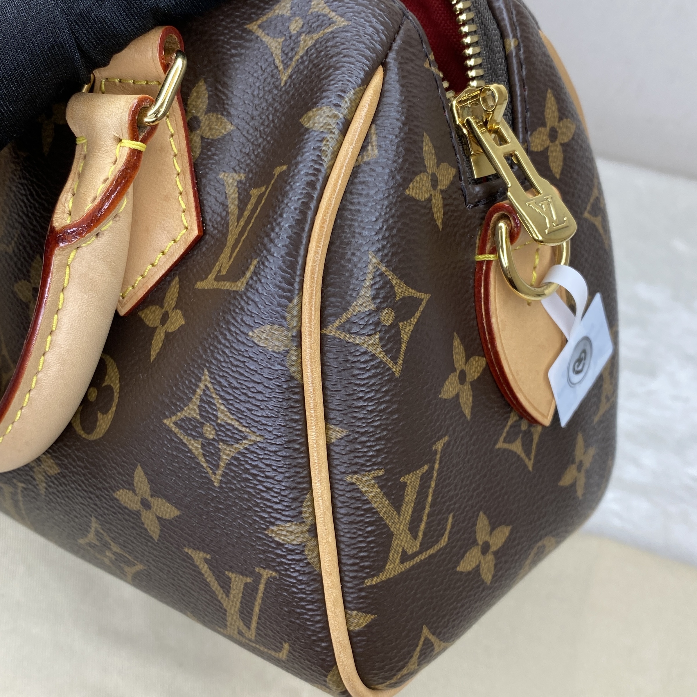 IMG_6528-1771916370801