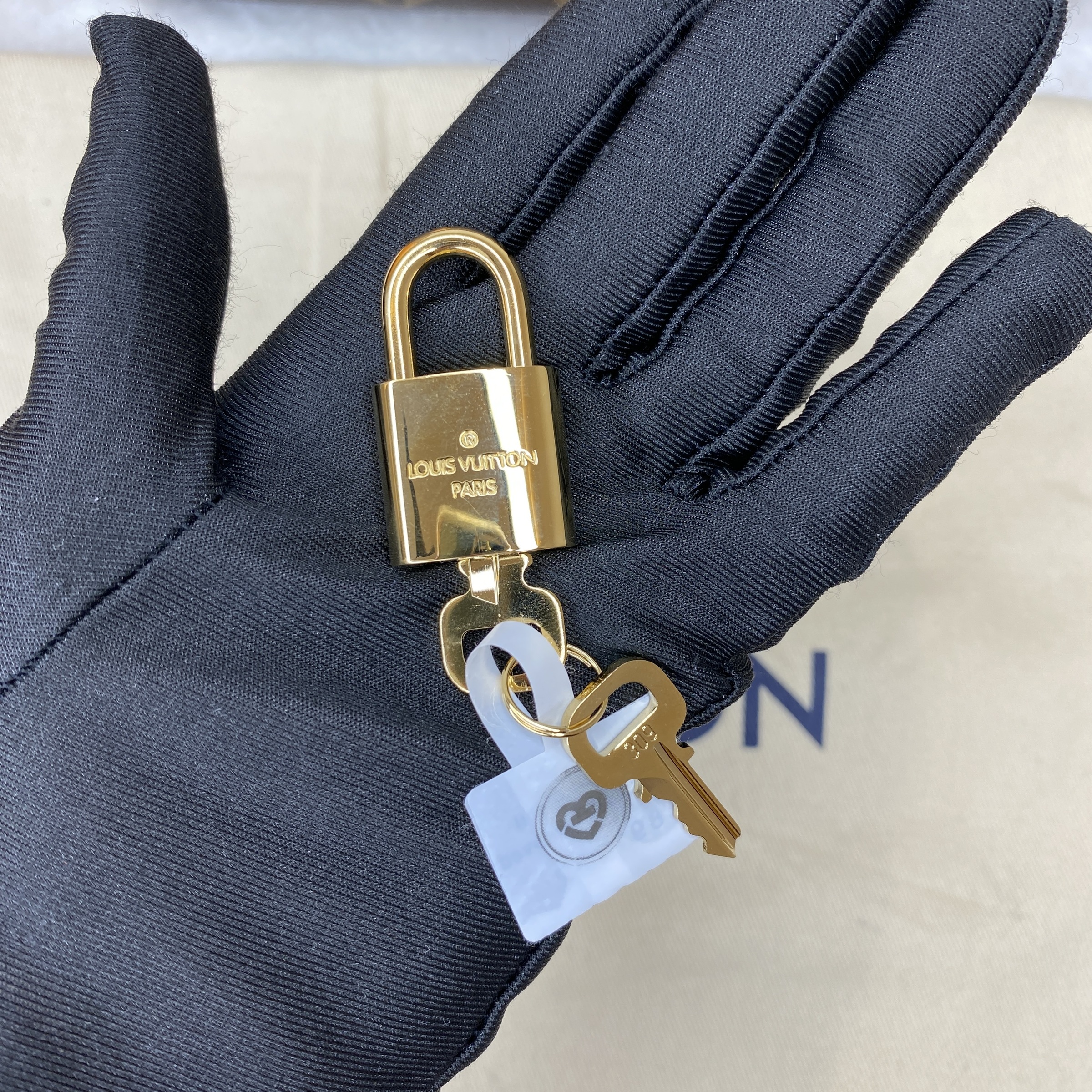 IMG_6536-1771916370911