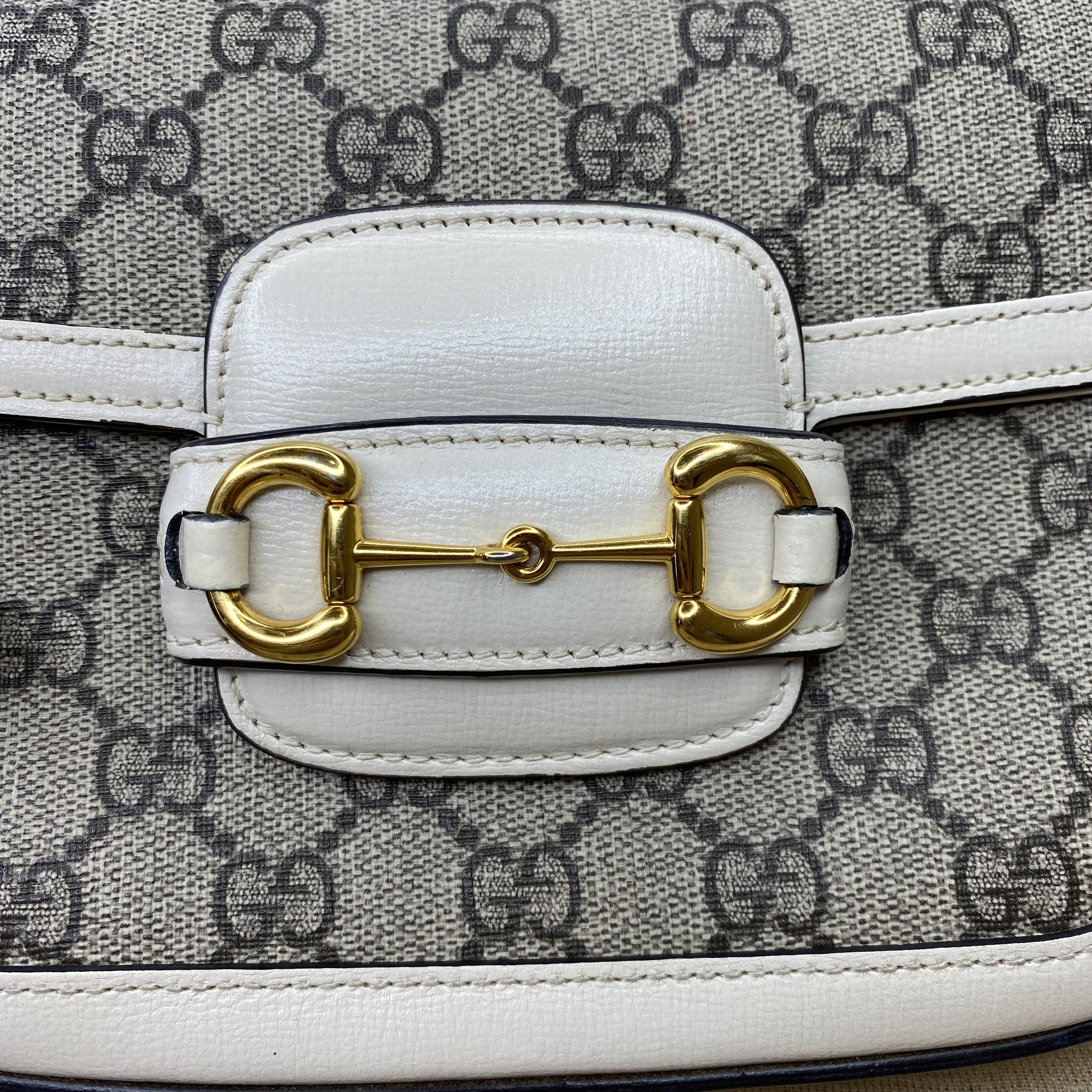 IMG_6620-1772084303421