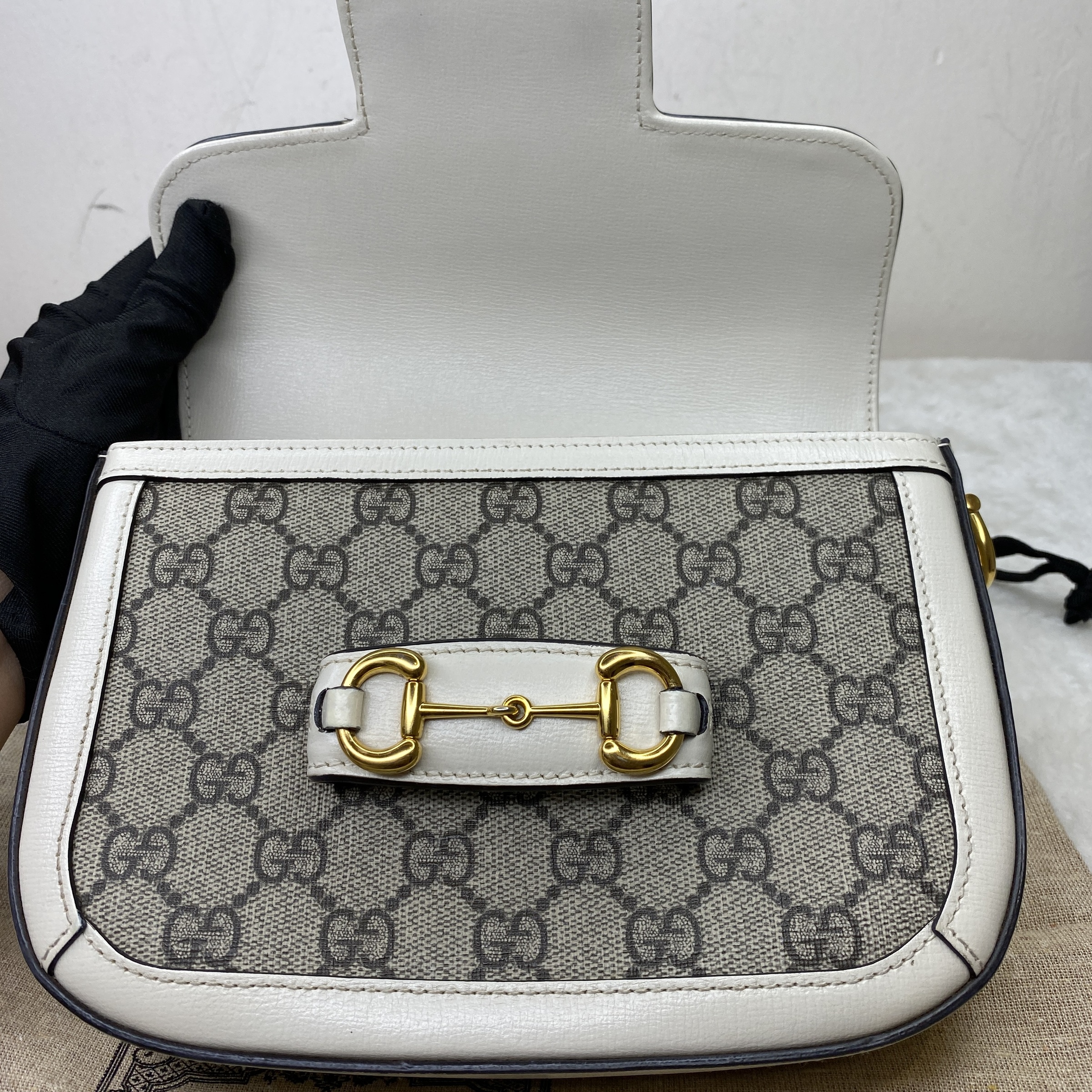 IMG_6622-1772084303350