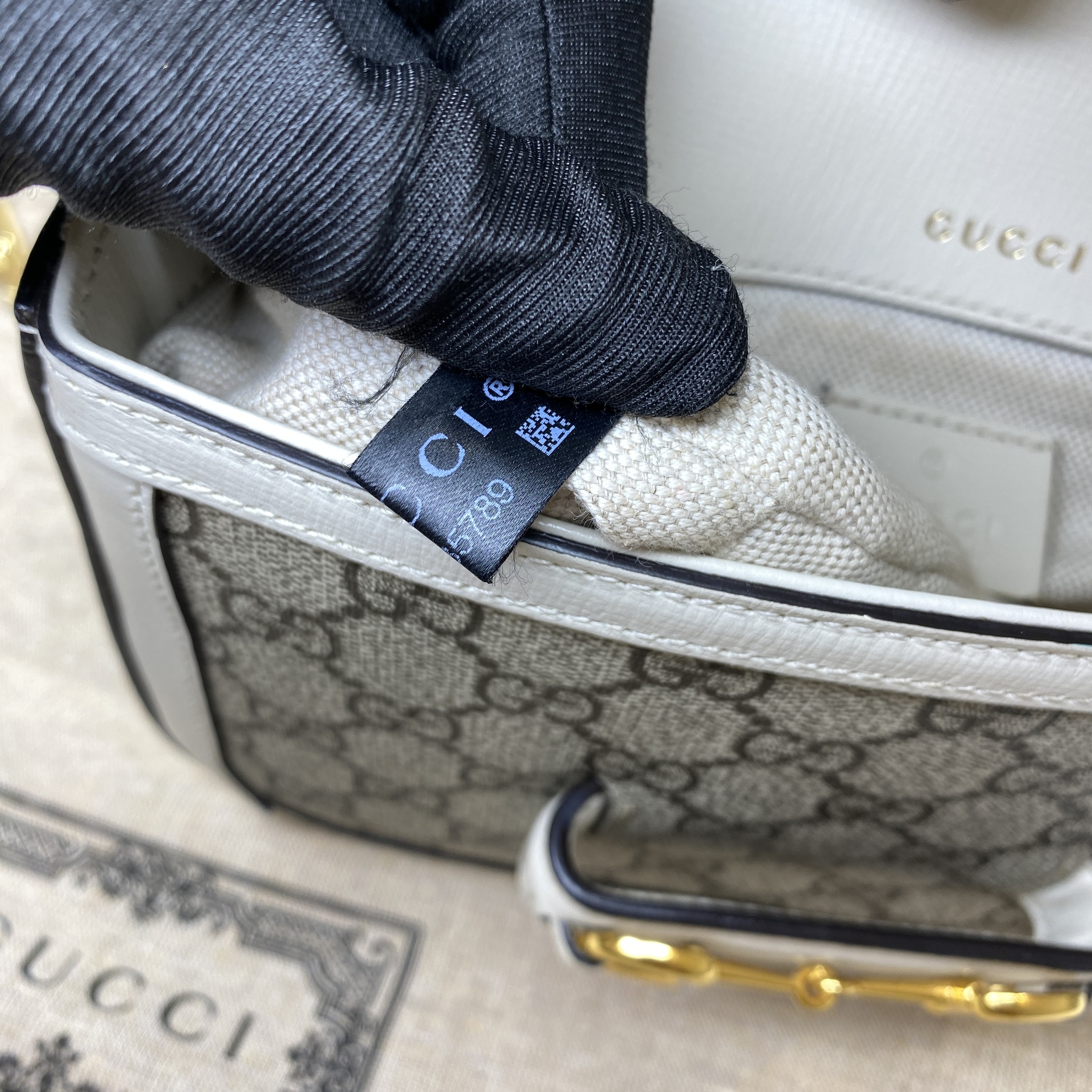 IMG_6626-1772084303151